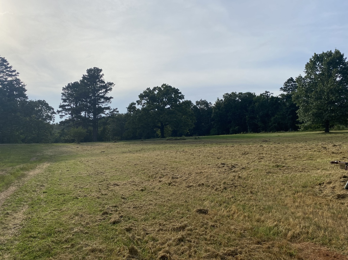 Clarksville, Arkansas, 72830, United States, 7 Bedrooms Bedrooms, ,3 BathroomsBathrooms,Residential,For Sale,2005713