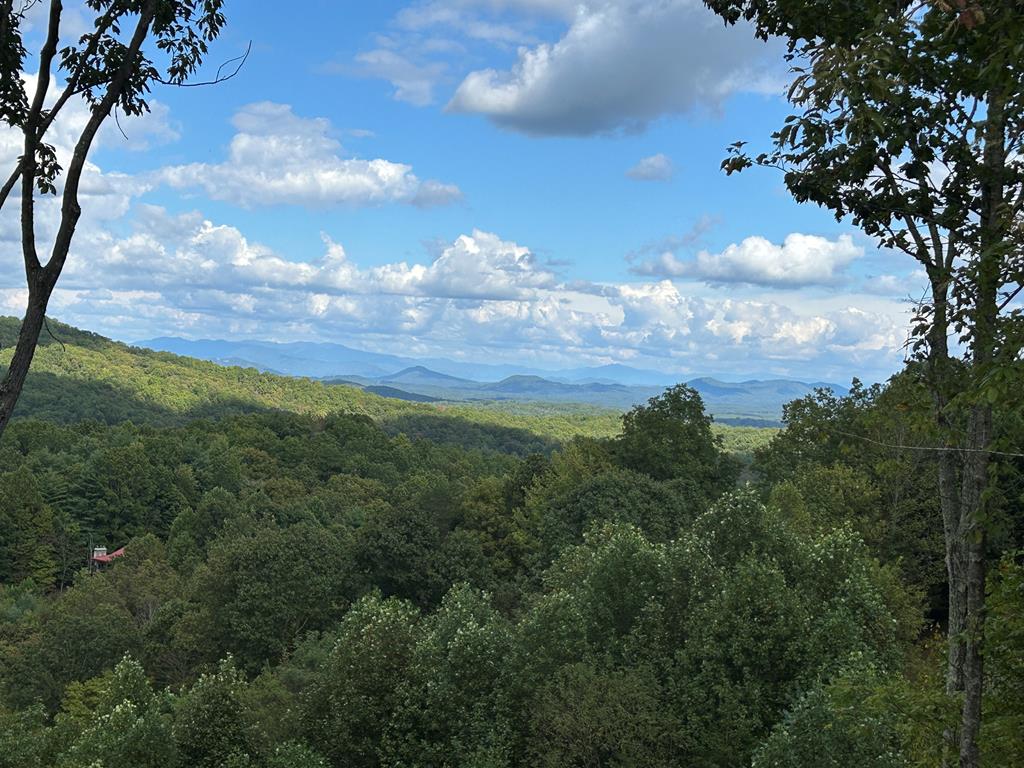 Mineral Bluff, Georgia, 30559, United States, 4 Bedrooms Bedrooms, ,4 BathroomsBathrooms,Residential,For Sale,1871299