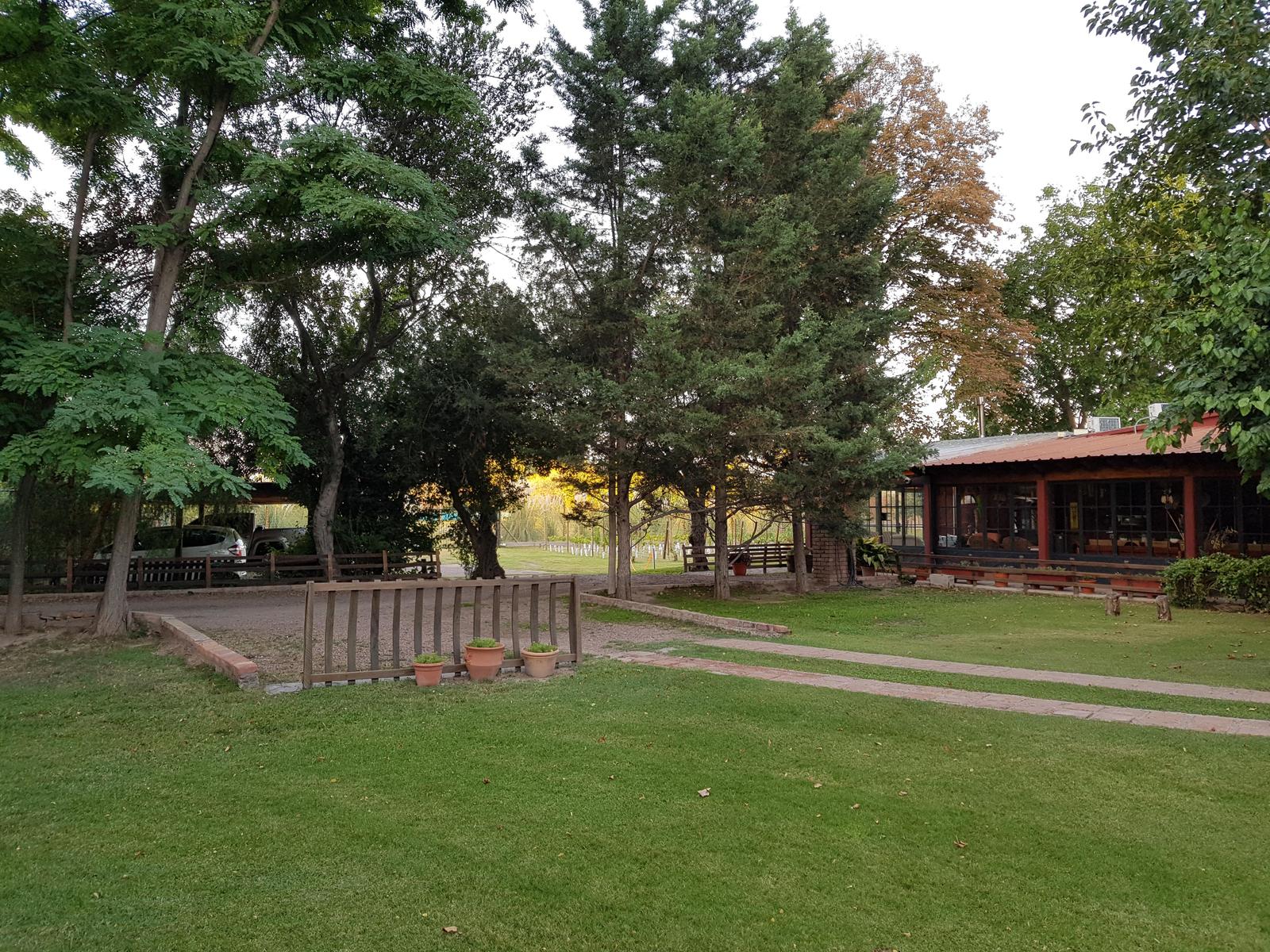 Rivadavia, AR-M, AR, 10 Bedrooms Bedrooms, ,8 BathroomsBathrooms,Residential,For Sale,1751243