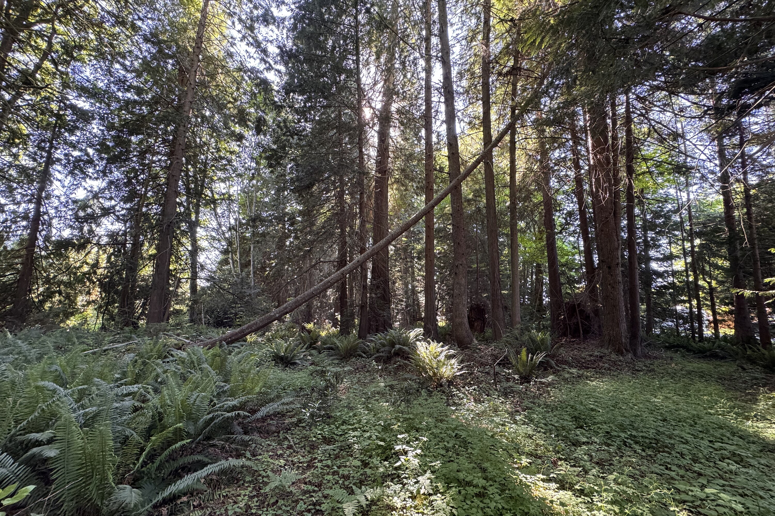  Sechelt, Sunshine Coast - 物件實景