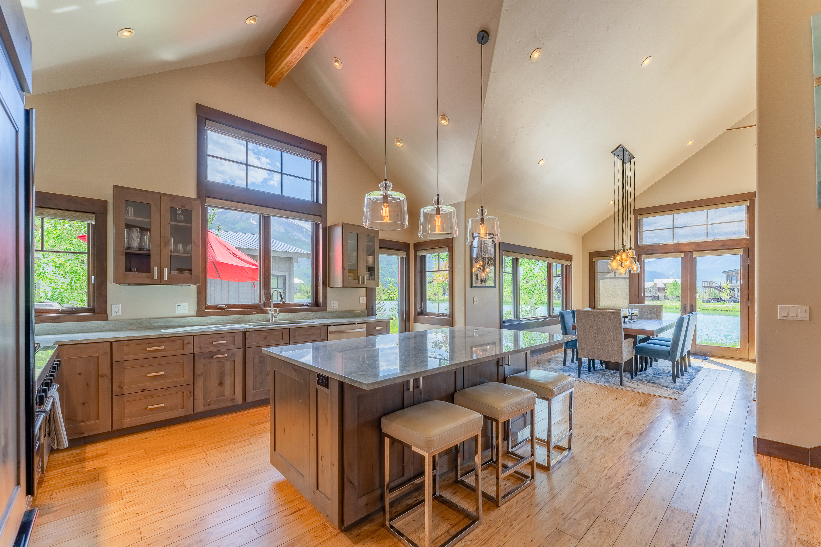  330 Larkspur Loop, Crested Butte, CO 81224 - 物件實景