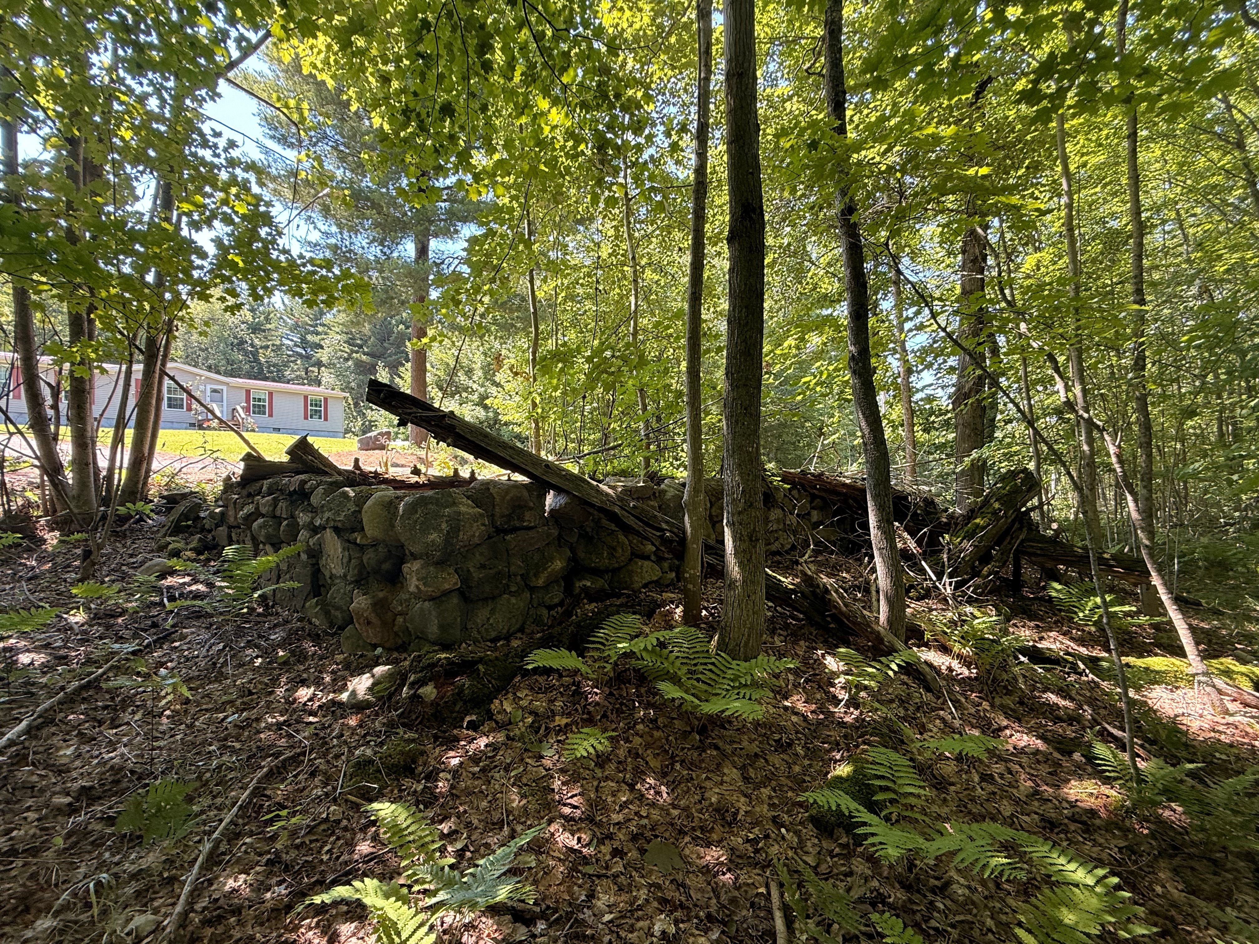  TBD Cook Road, St. Regis Falls, NY 12980 - 物件實景