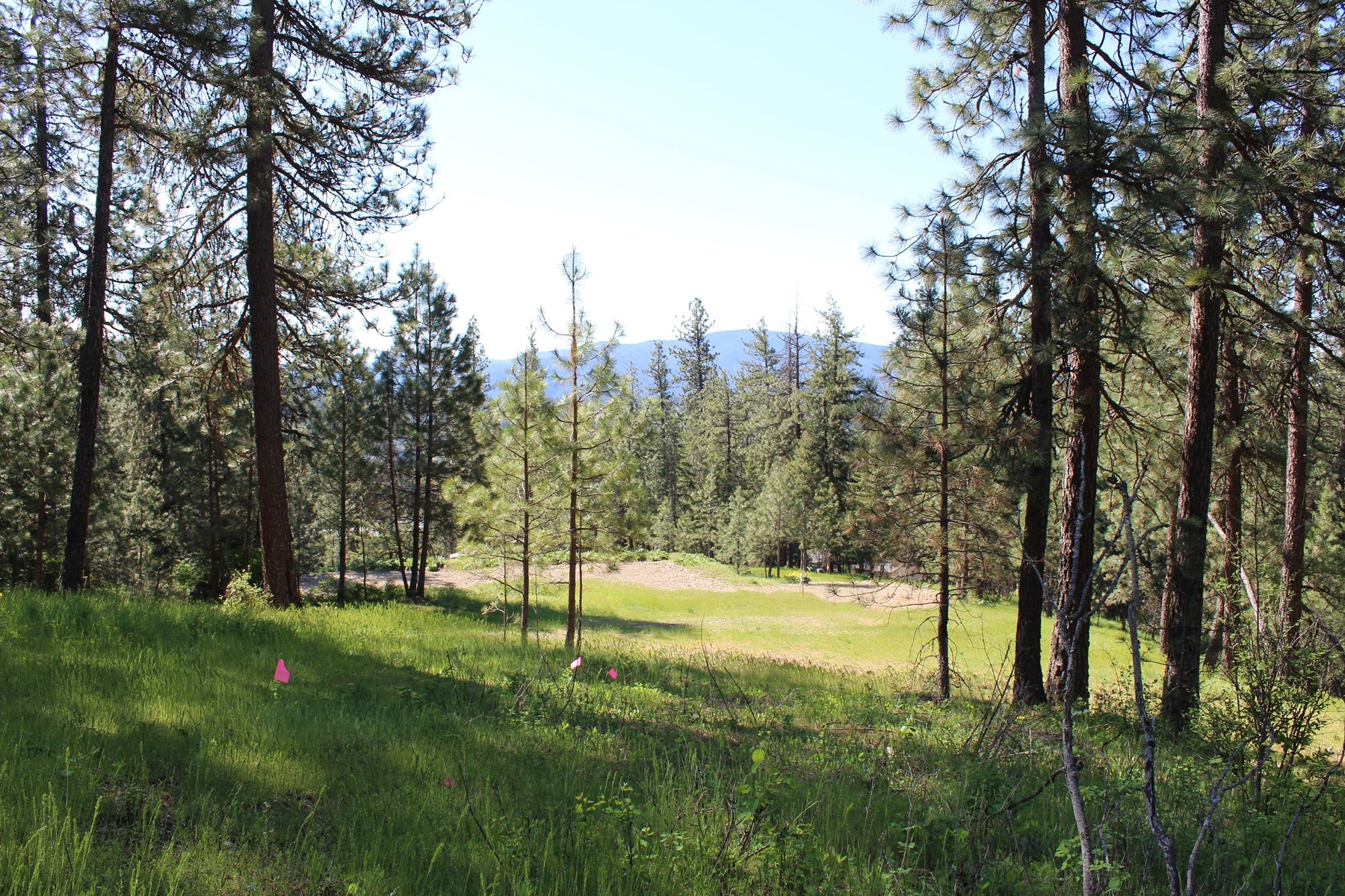  881 S Allen Rd and 2714 E Haven Dr Coeur d