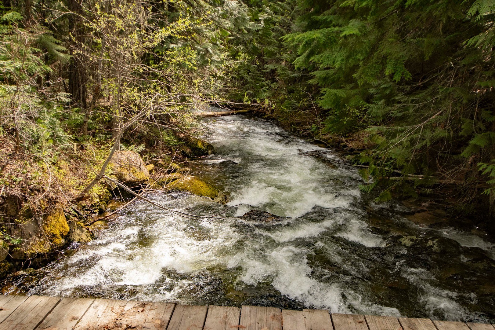 Naples, Idaho, 83847, United States, 2 Bedrooms Bedrooms, ,1 BathroomBathrooms,Residential,For Sale,1979957