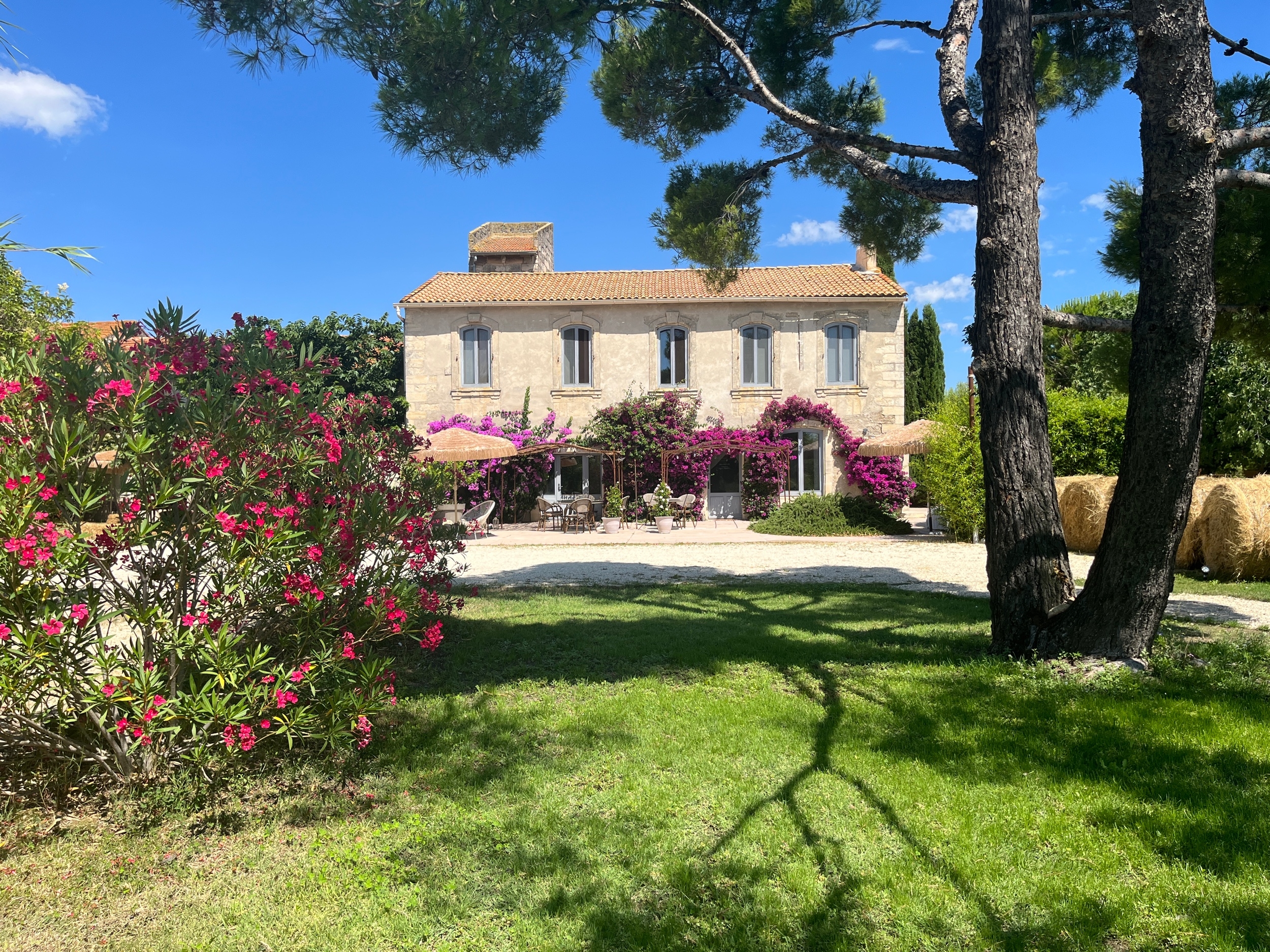  Renovated Provençal Mas in the Camargue, Near Arles - 物件實景