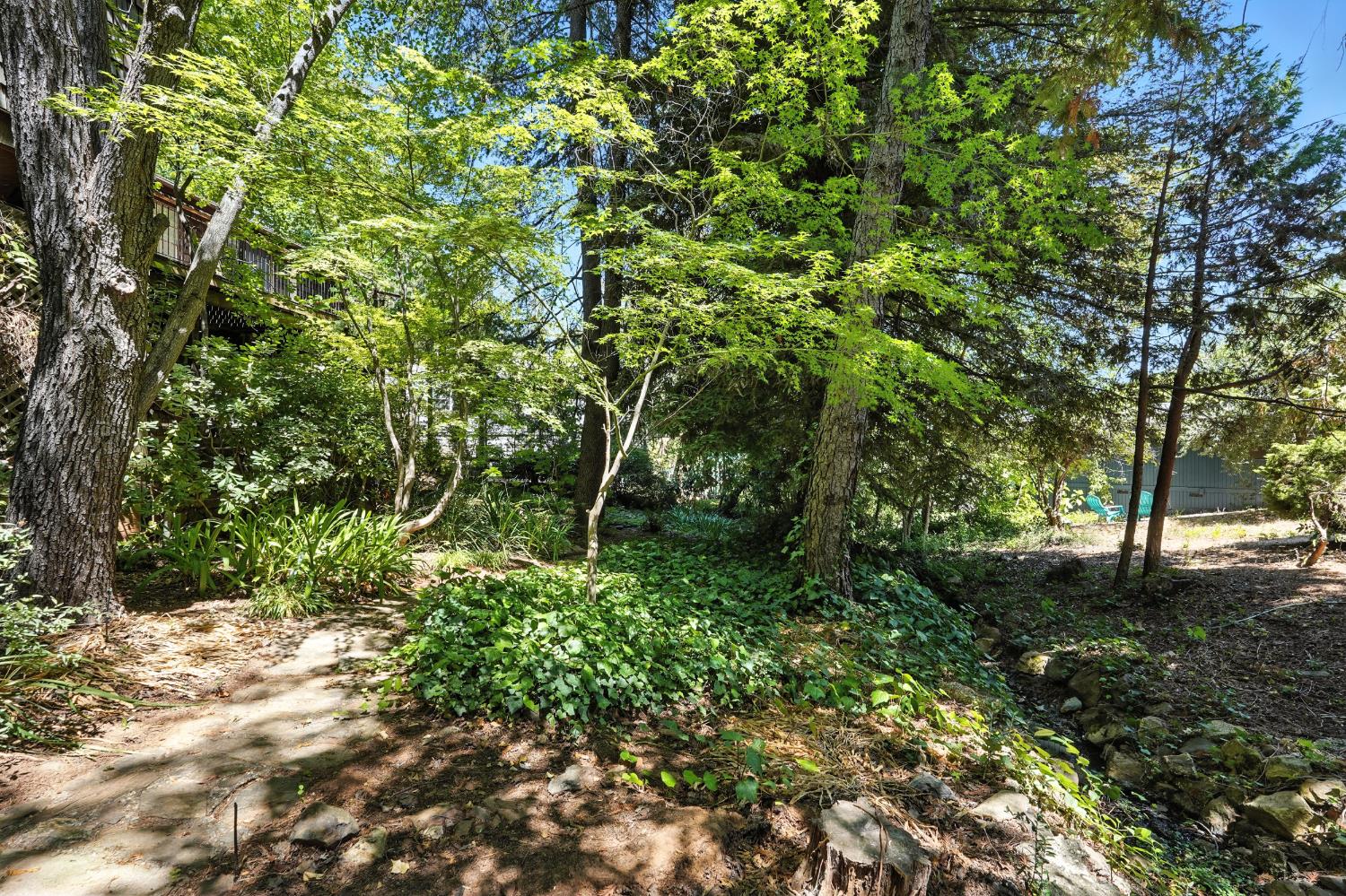 Auburn, California, 95603, United States, 3 Bedrooms Bedrooms, ,3 BathroomsBathrooms,Residential,For Sale,1955414