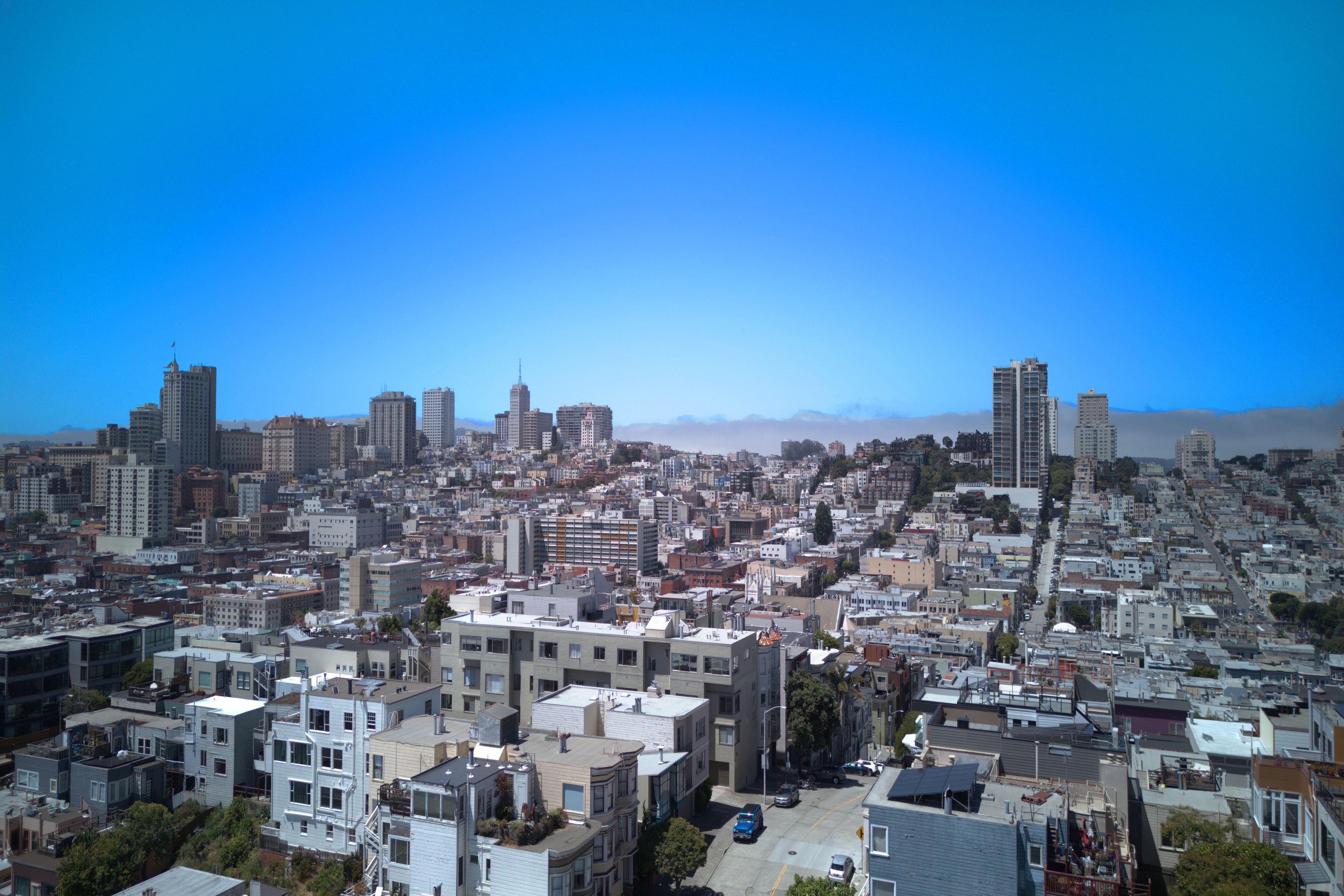  Telegraph Hill Trophy - 物件實景