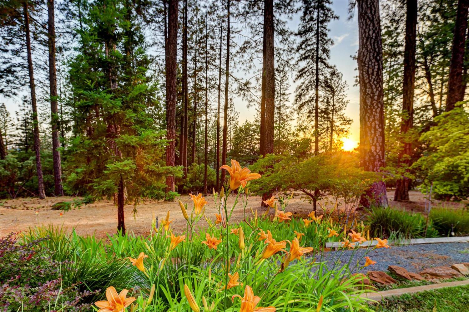 Grass Valley, California, 95949, United States, 3 Bedrooms Bedrooms, ,3 BathroomsBathrooms,Residential,For Sale,1856649