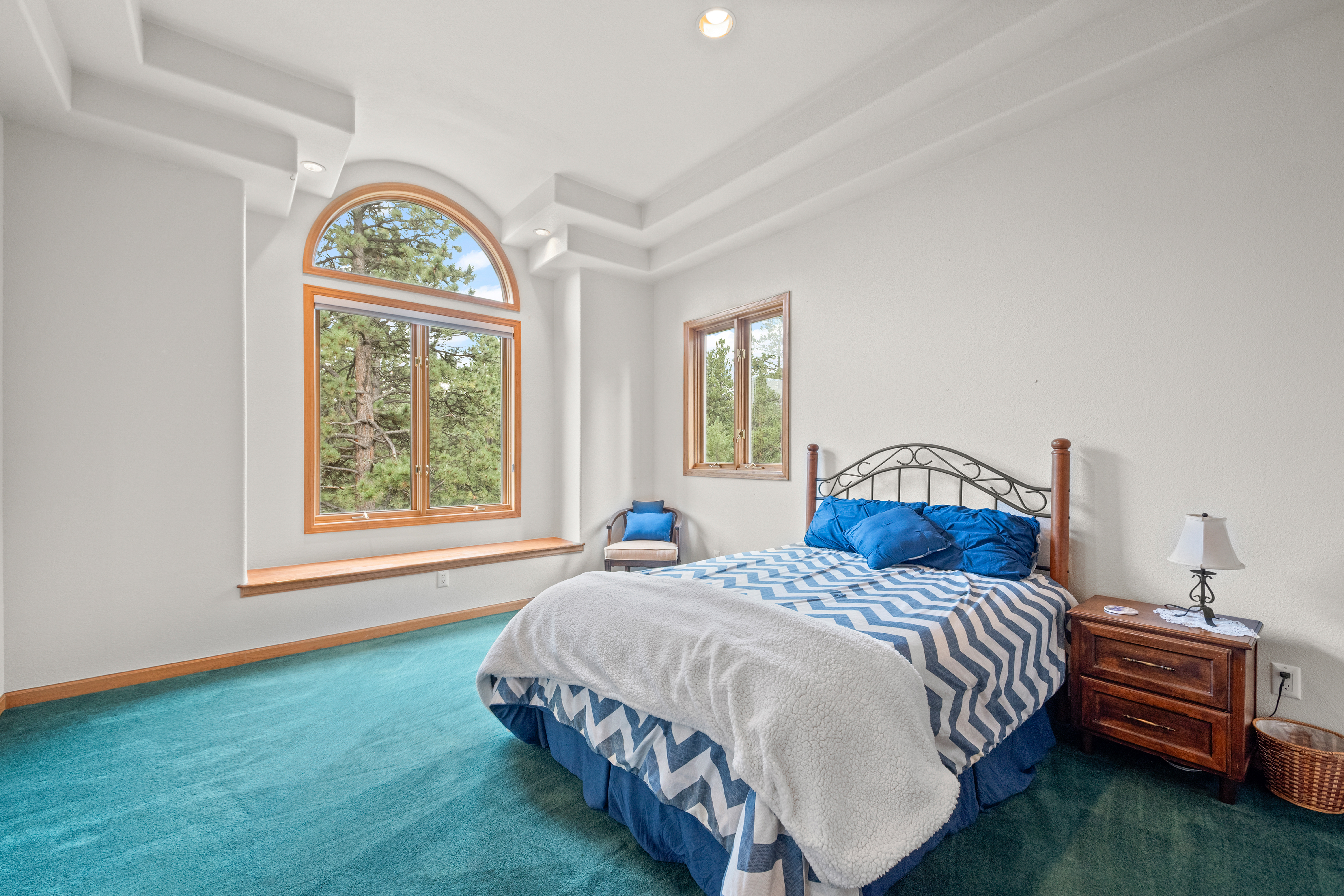  Perfect Blend of Space and Colorado Living That Backs to Pike National Forest - 物件實景