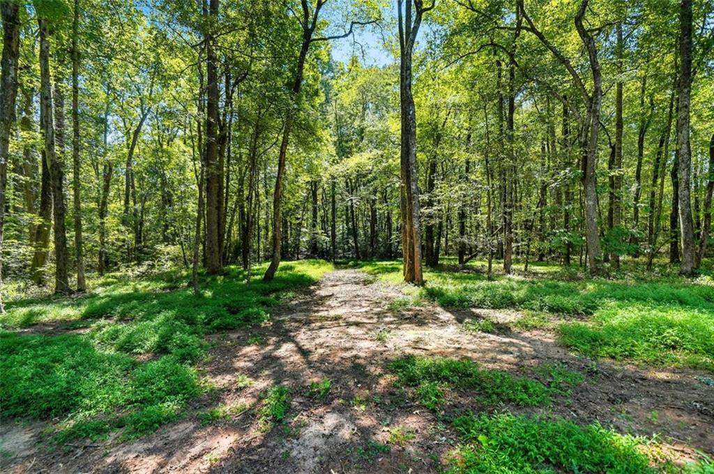 Douglasville, Georgia, 30135, United States, 3 Bedrooms Bedrooms, ,2 BathroomsBathrooms,Residential,For Sale,1947775