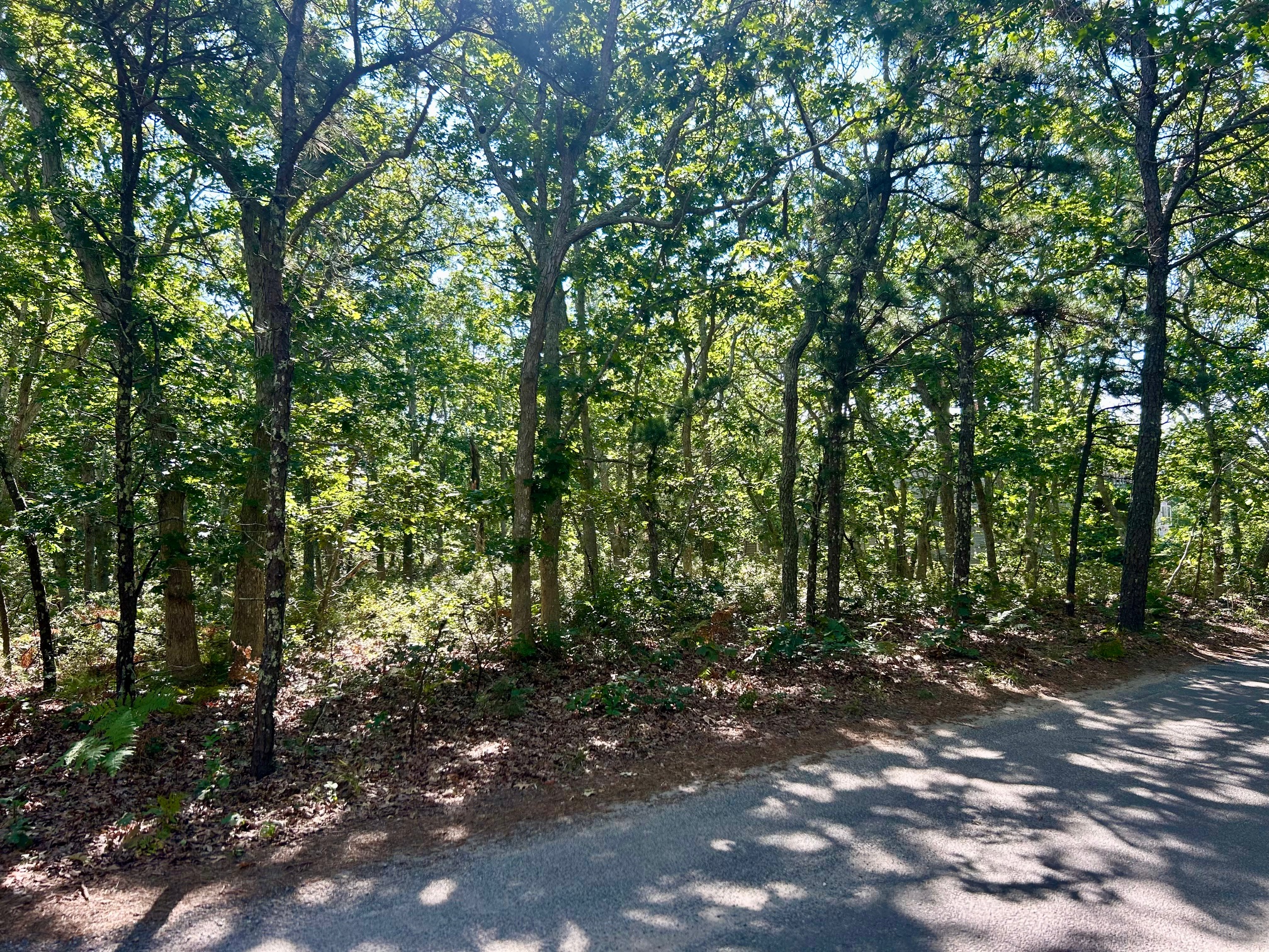  Land in Edgartown - 物件實景