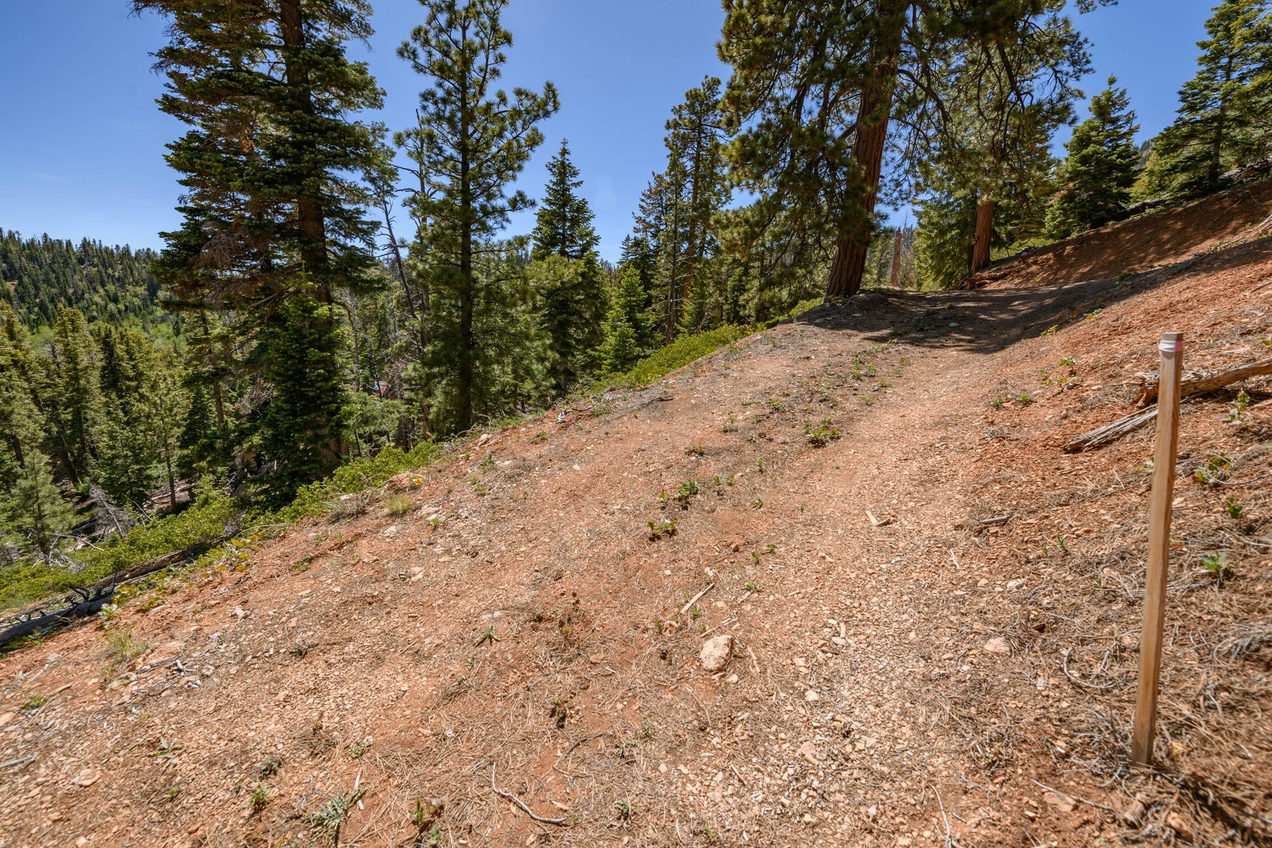  Quiet Mountain Retreat Near Navajo Lake - 物件實景