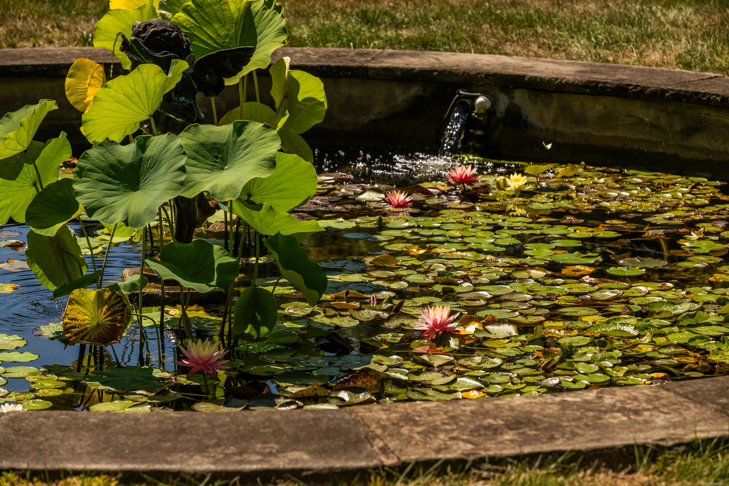  406 Hillside Drive, Sewickley, PA 15143 - 物件實景