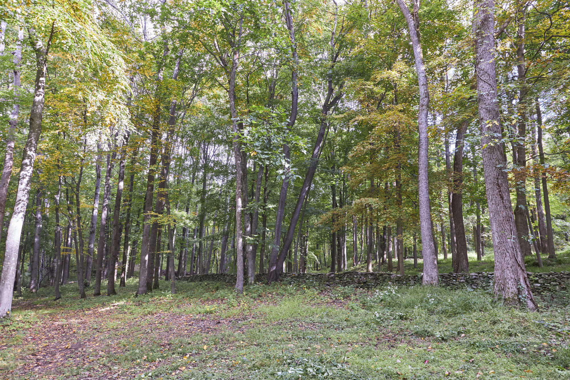  10 Old Primrose Hill Road, Rhinebeck, NY, 12572 - 物件實景