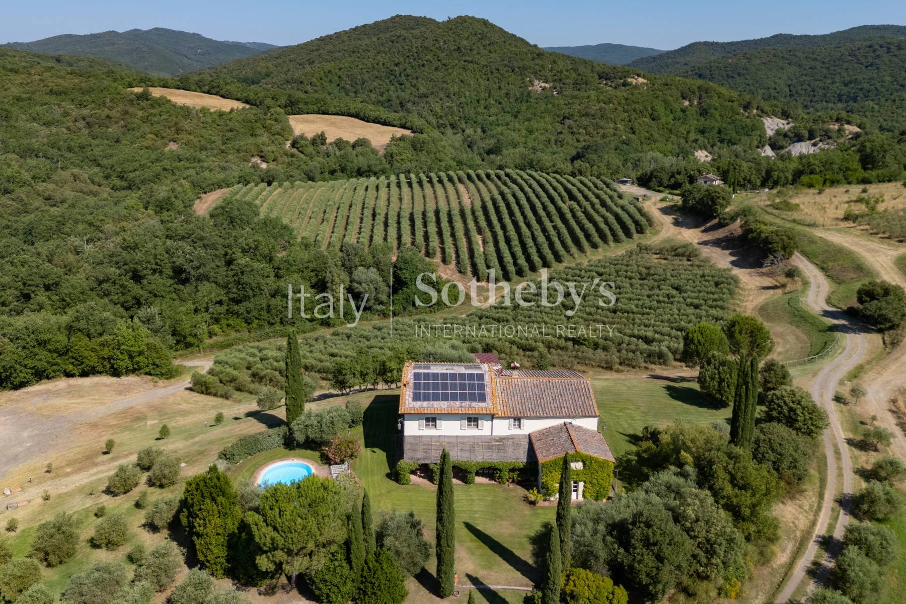  Tuscan estate with vineyards and winery - 物件實景