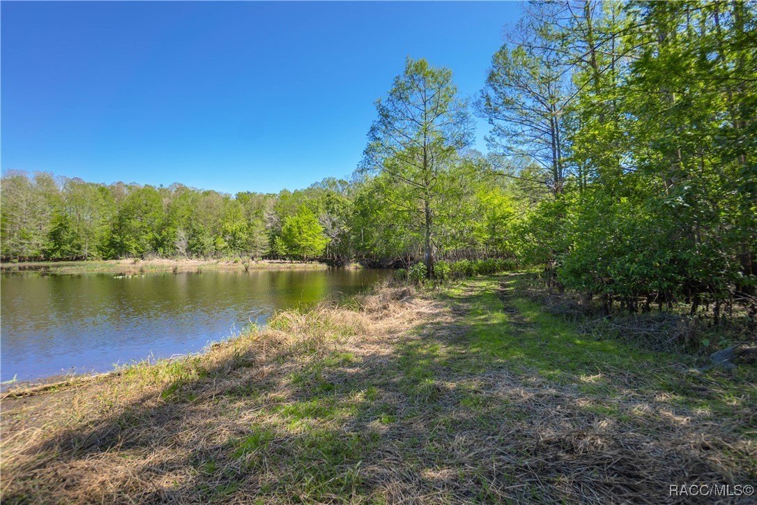 Inverness, Florida, 34450, United States, 3 Bedrooms Bedrooms, ,2 BathroomsBathrooms,Residential,For Sale,1881074