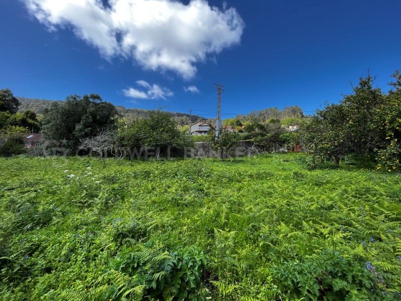 Pontevedra, Moa?a, Moa?a (San Marti?o P. E Virxe d, Moaña, Galicia, ES, 7 Bedrooms Bedrooms, ,2 BathroomsBathrooms,Residential,For Sale,Pontevedra, Moa?a, Moa?a (San Marti?o P. E Virxe d,1623275