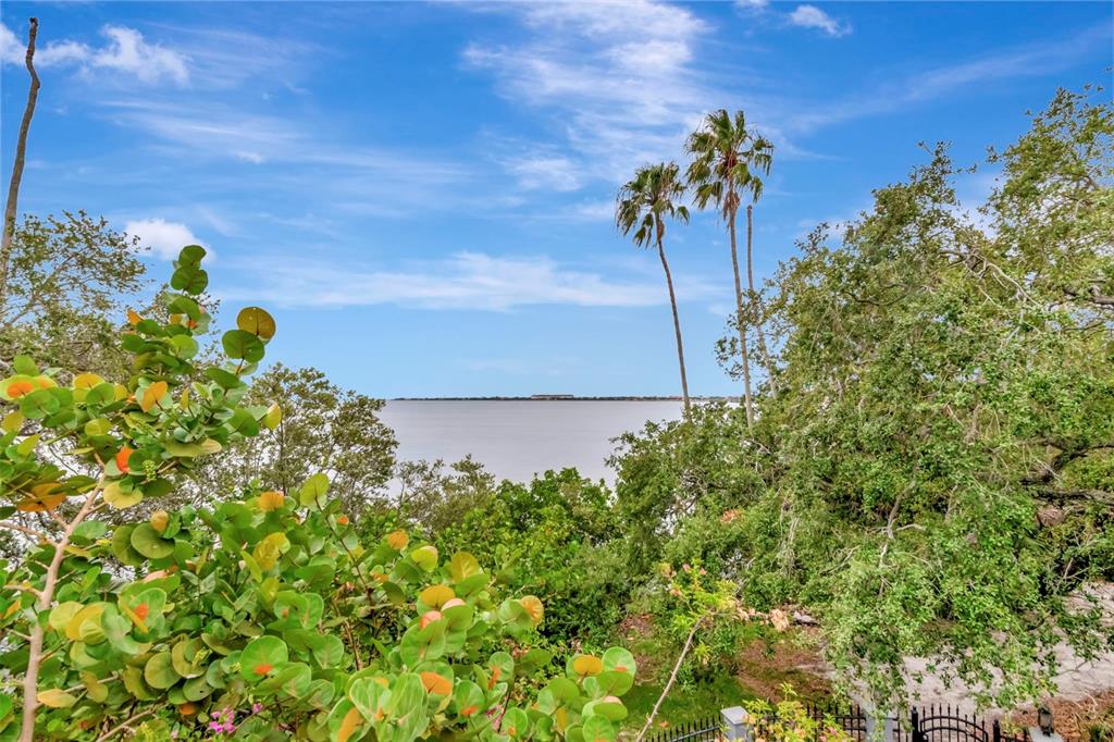 Tampa, Florida, 33611, United States, 5 Bedrooms Bedrooms, ,7 BathroomsBathrooms,Residential,For Sale,1988340