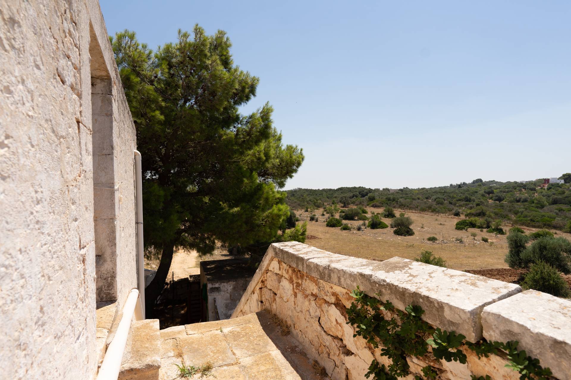 Contrada San Biagio, Ostuni, Brindisi, 72017, IT, 4 Bedrooms Bedrooms, ,2 BathroomsBathrooms,Residential,For Sale,Contrada San Biagio,1504310
