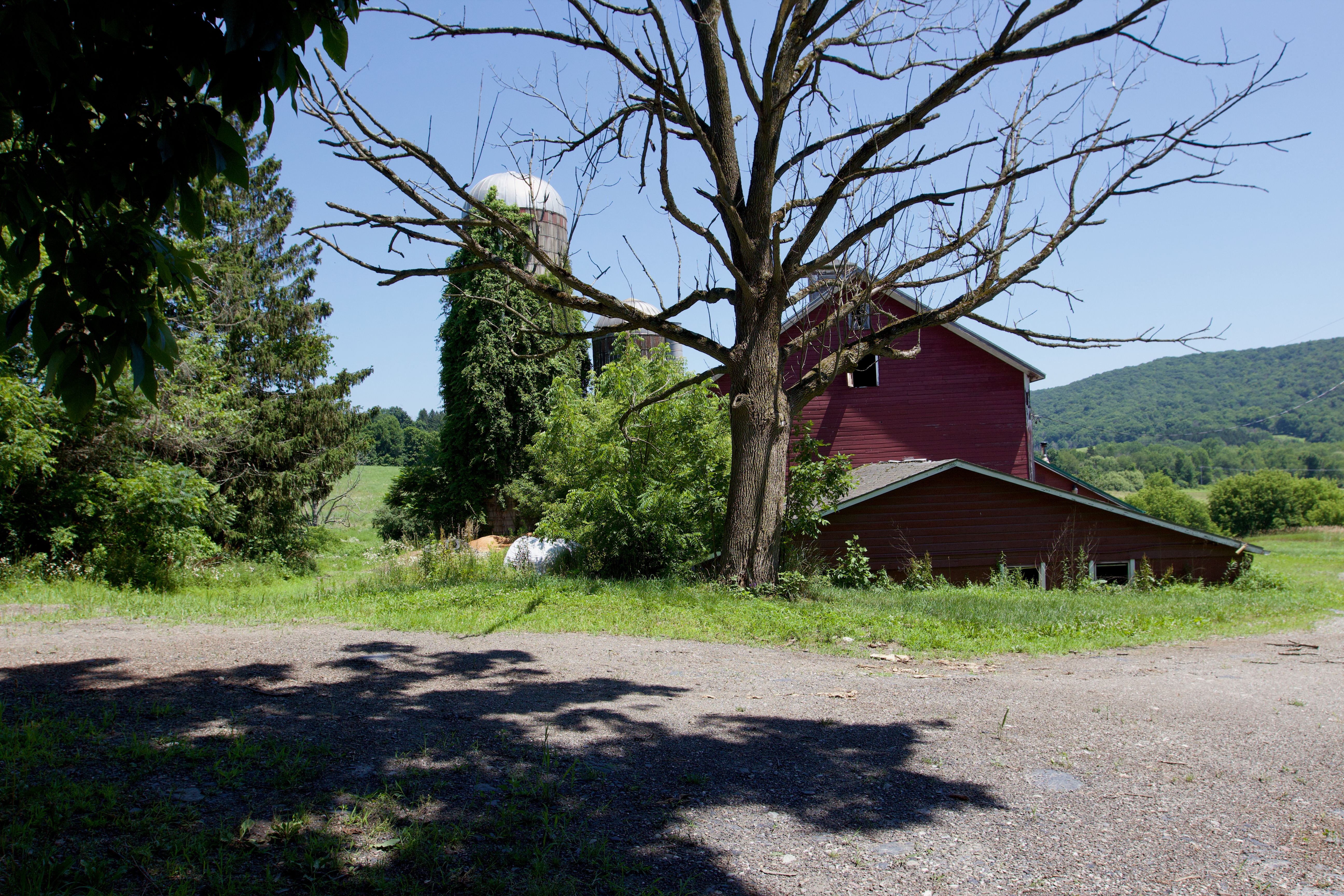  90 West End Road, Hillsdale, NY 12529 - 物件實景