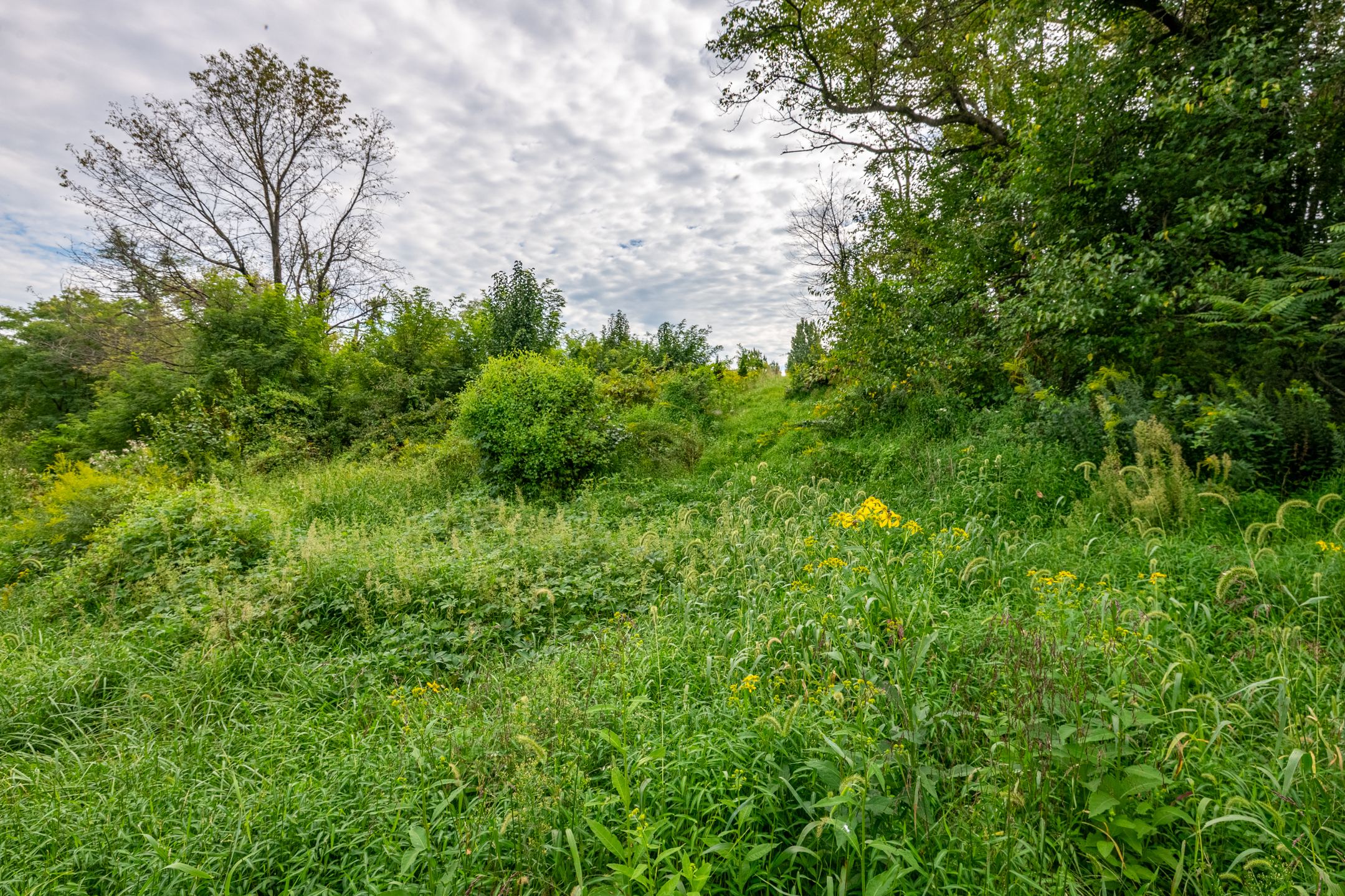  0 River Rd, Pequea, PA 17565 - 物件實景