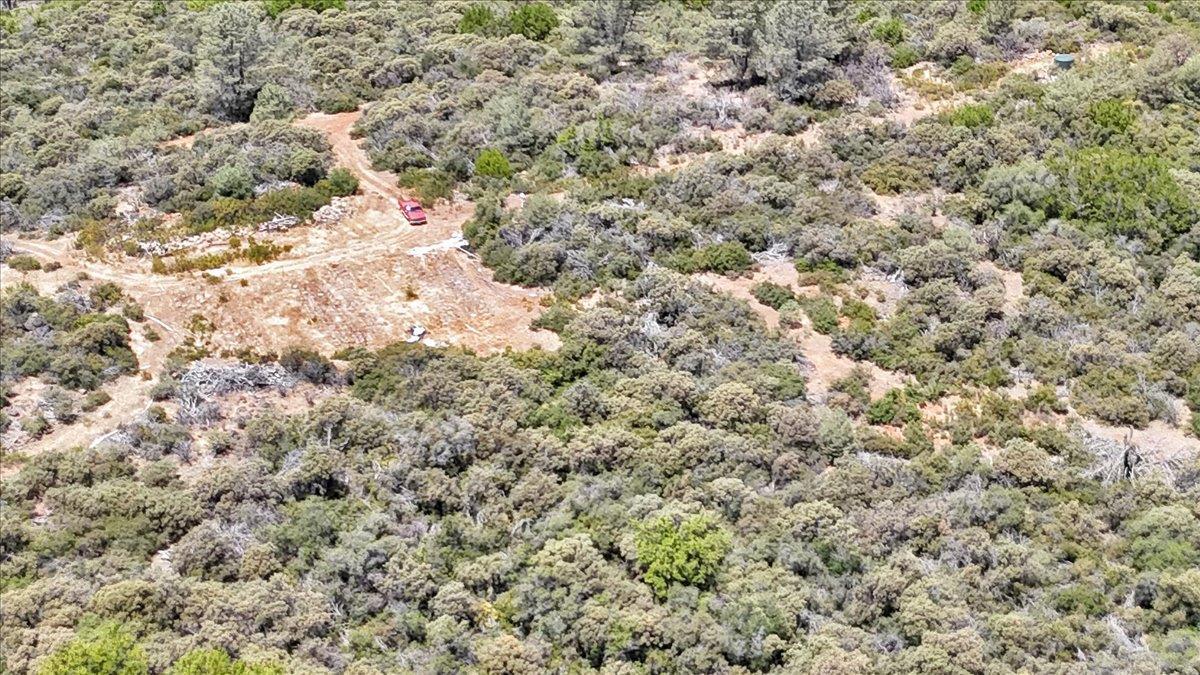 Oregon House, California, 95962, United States, ,Land,For Sale,1975767