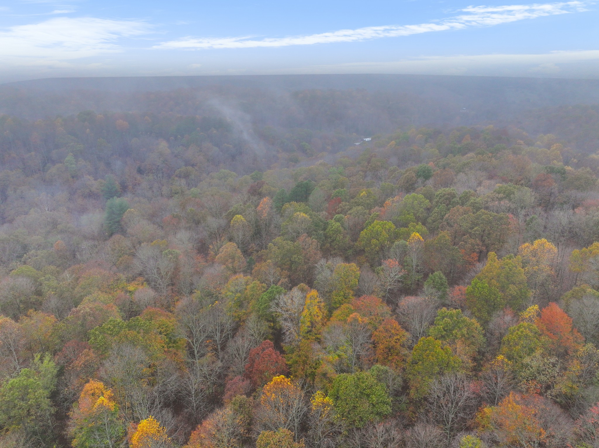 Cunningham, Tennessee, 37052, United States, ,Residential,For Sale,1920443