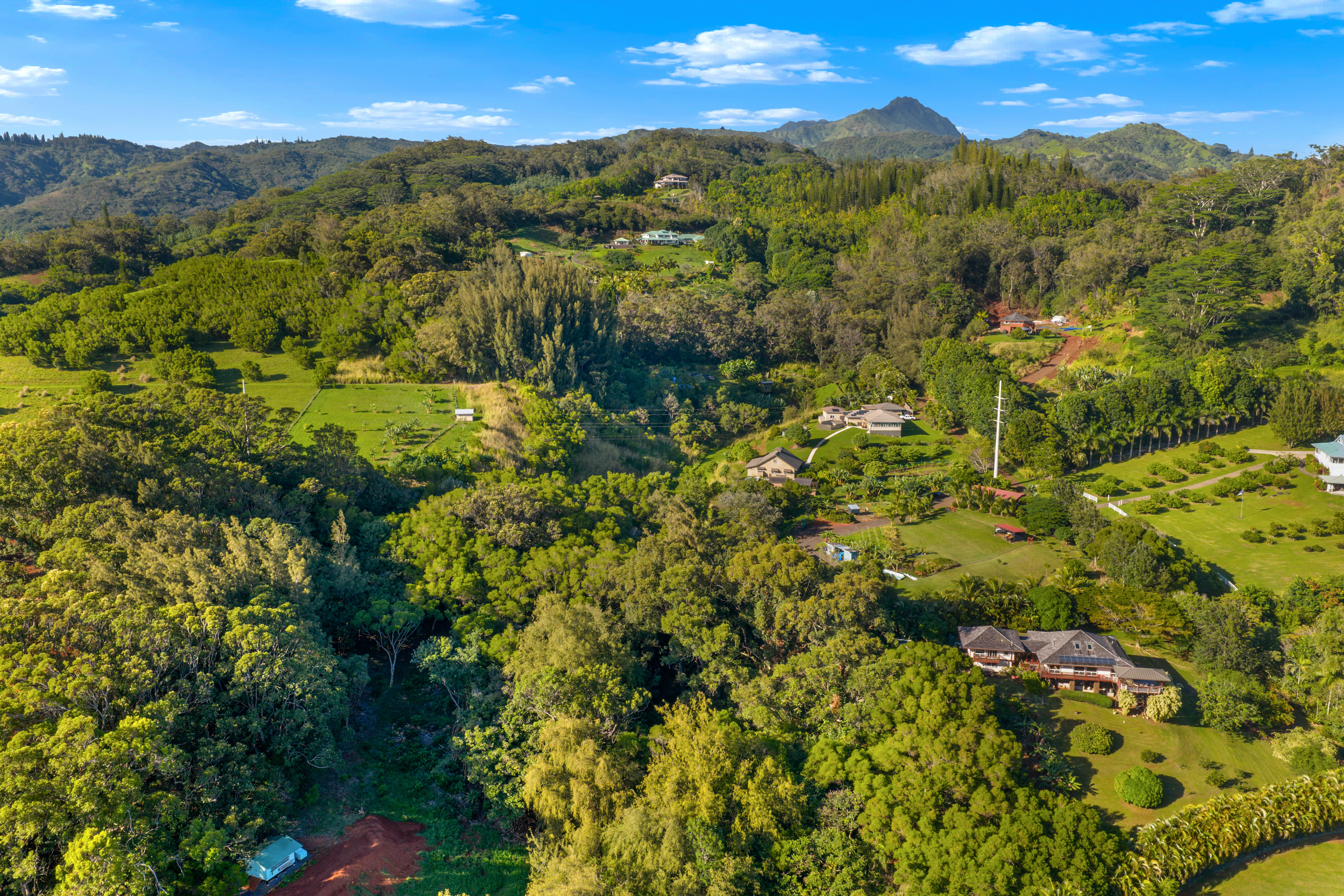 4650 Uha Rd, Lawai, HI, 96741 - 物件實景