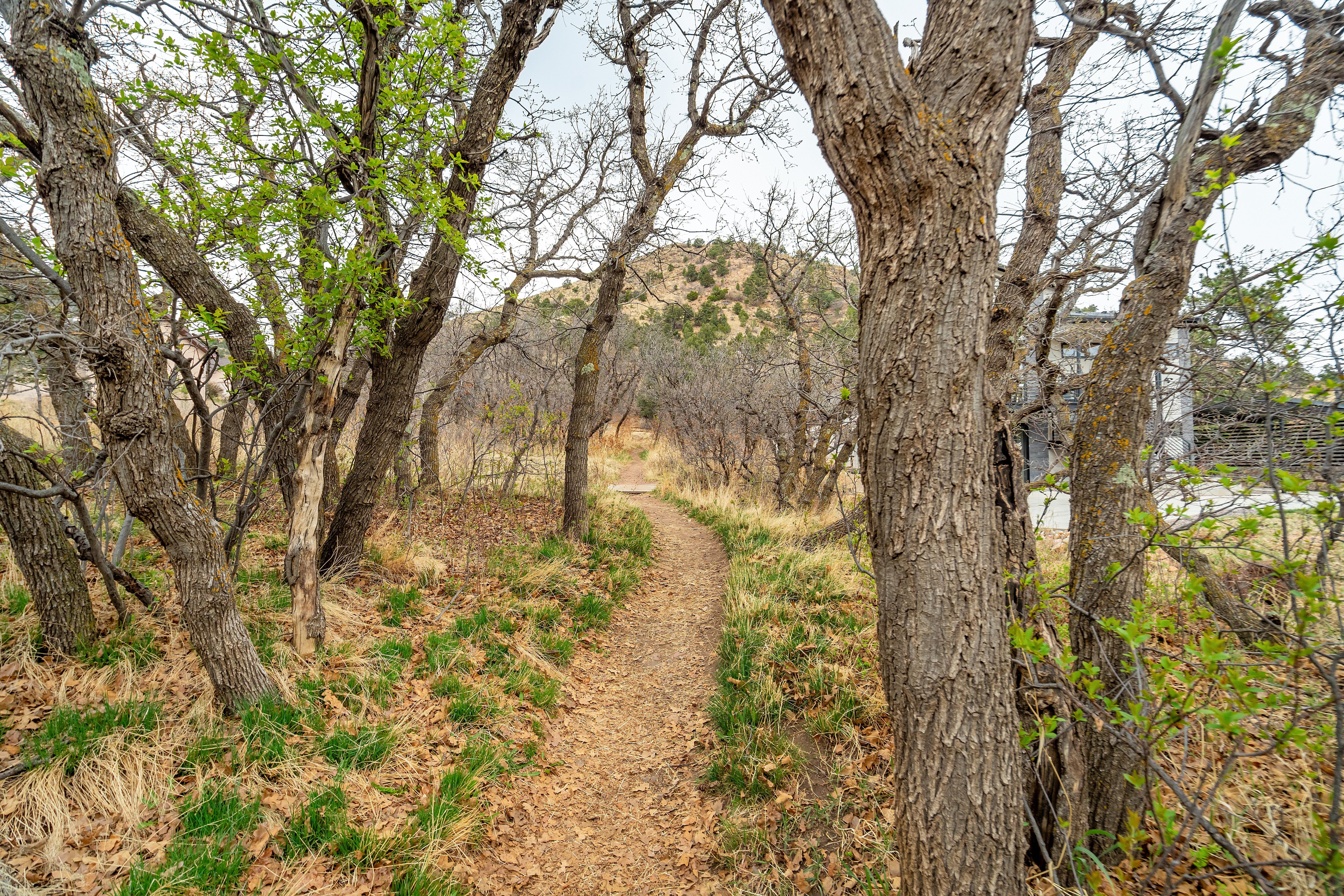  Modern Mountain Retreat with Panoramic Views & Trail Access - 物件實景