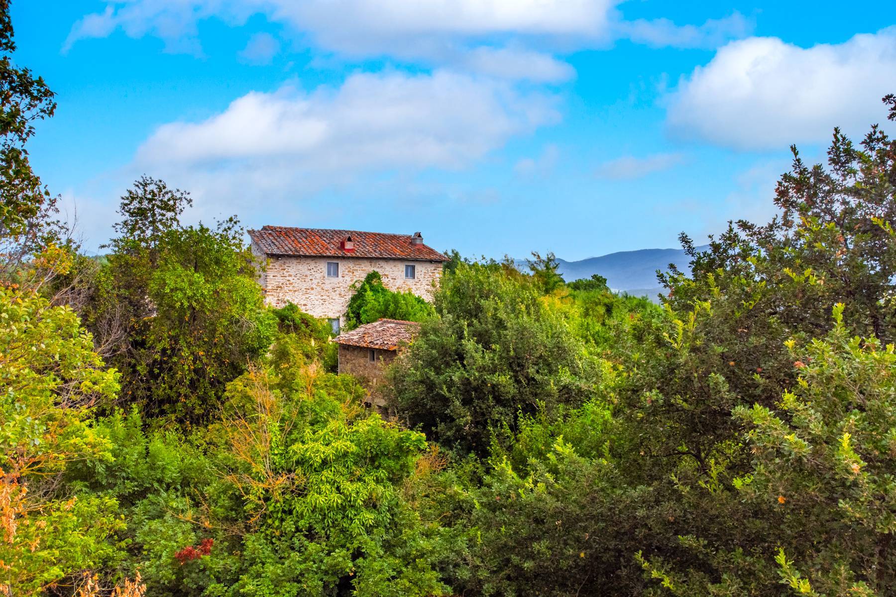 Barberino di Mugello, Firenze, 50031, IT, 35 Bedrooms Bedrooms, ,25 BathroomsBathrooms,Residential,For Sale,1926521