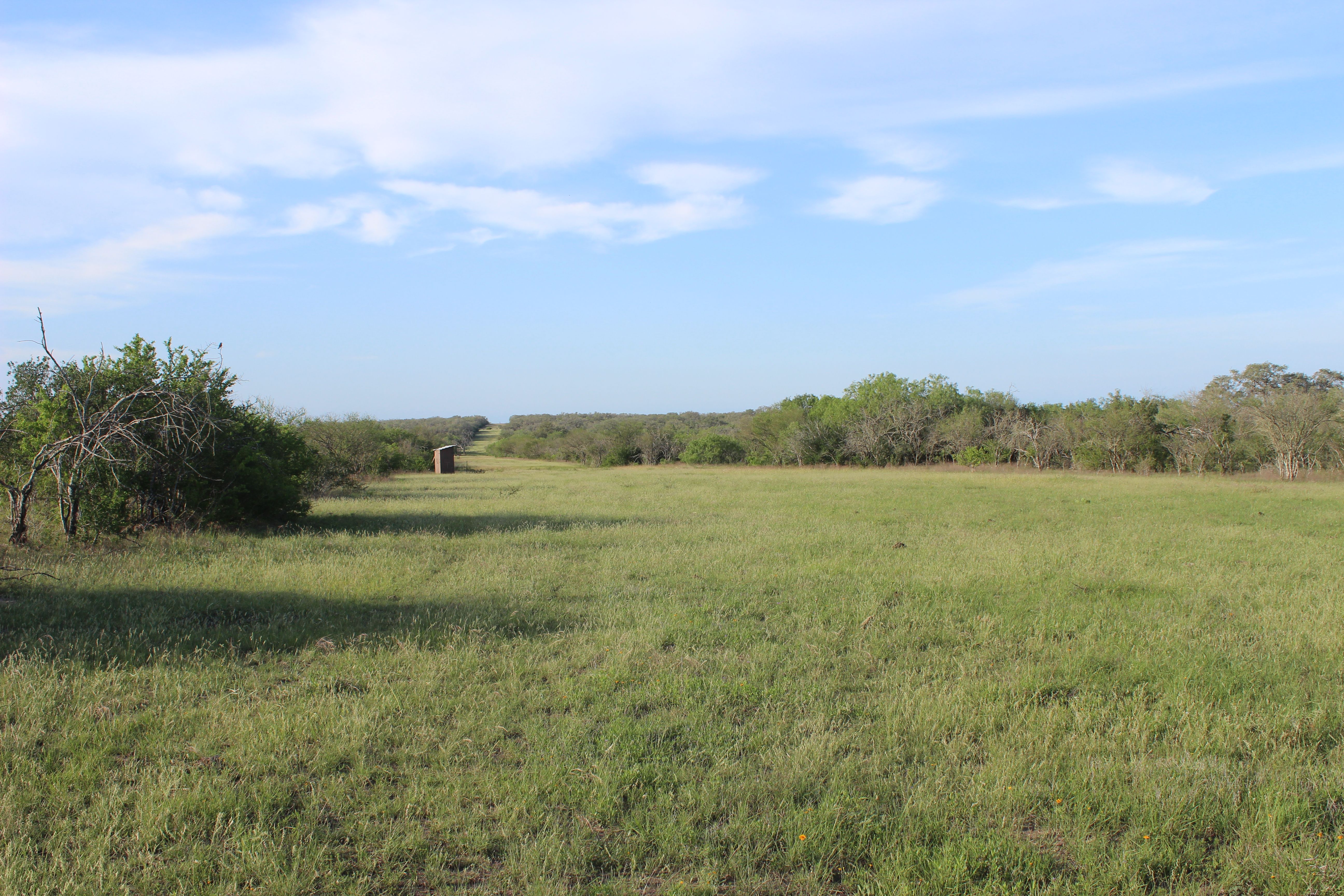 810+/- Acre Cabeza Creek Ranch - 物件實景