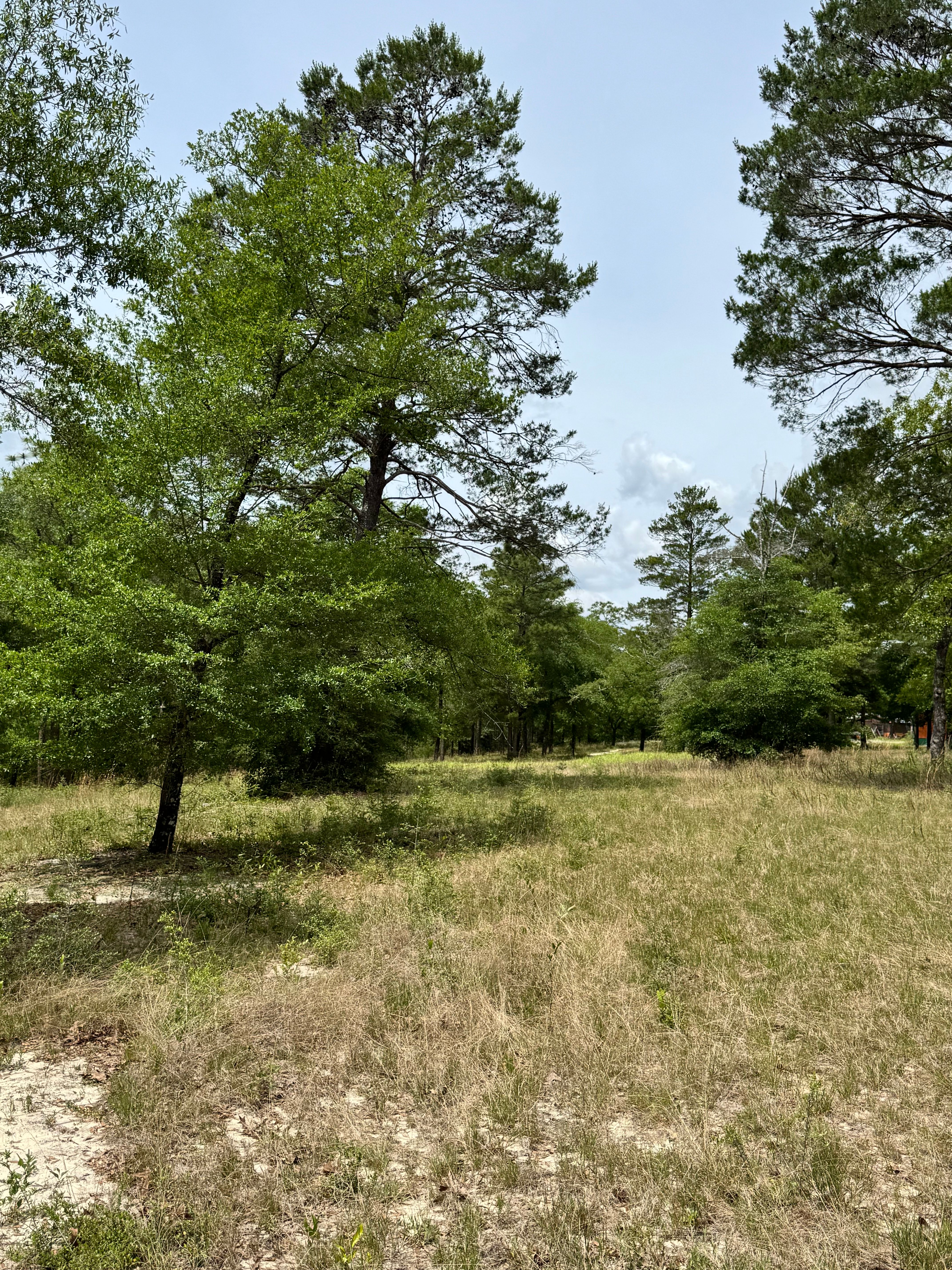  Private 7.55-Acre Property with Existing Infrastructure - 物件實景