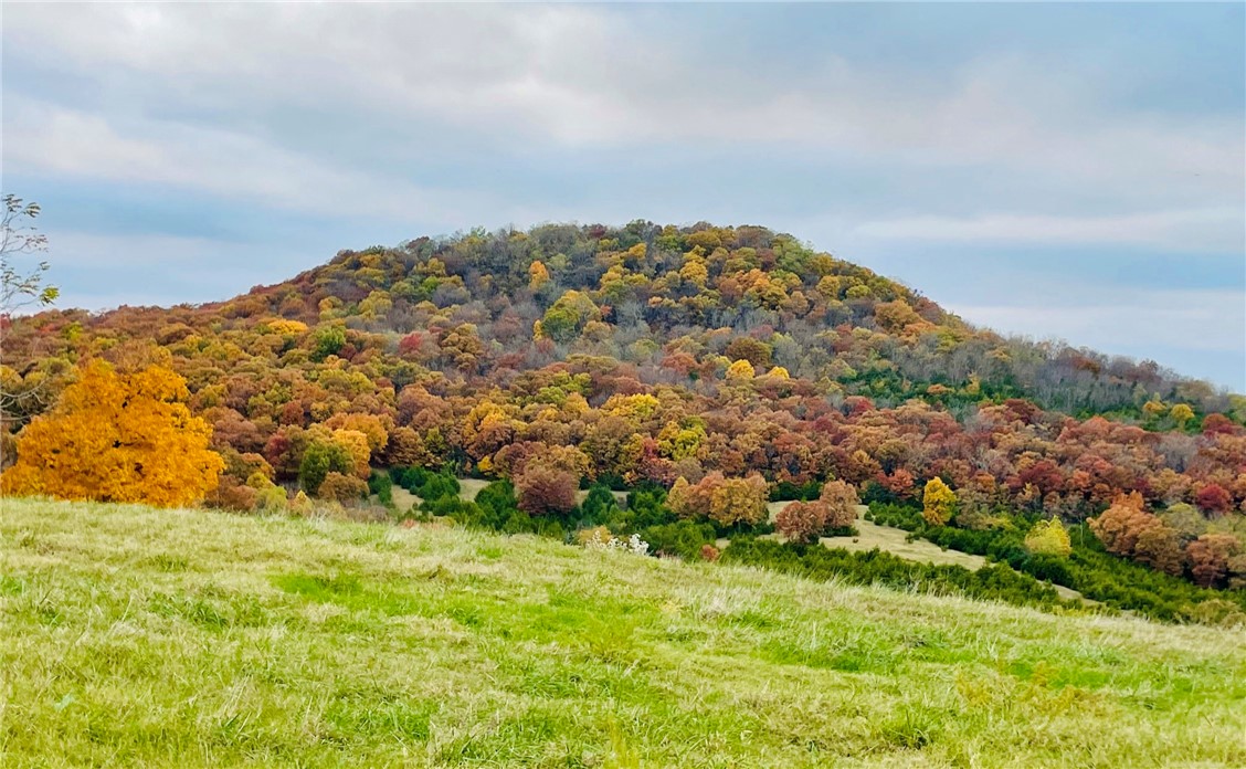 Berryville, Arkansas, 72616, United States, 6 Bedrooms Bedrooms, ,4 BathroomsBathrooms,Residential,For Sale,1988341