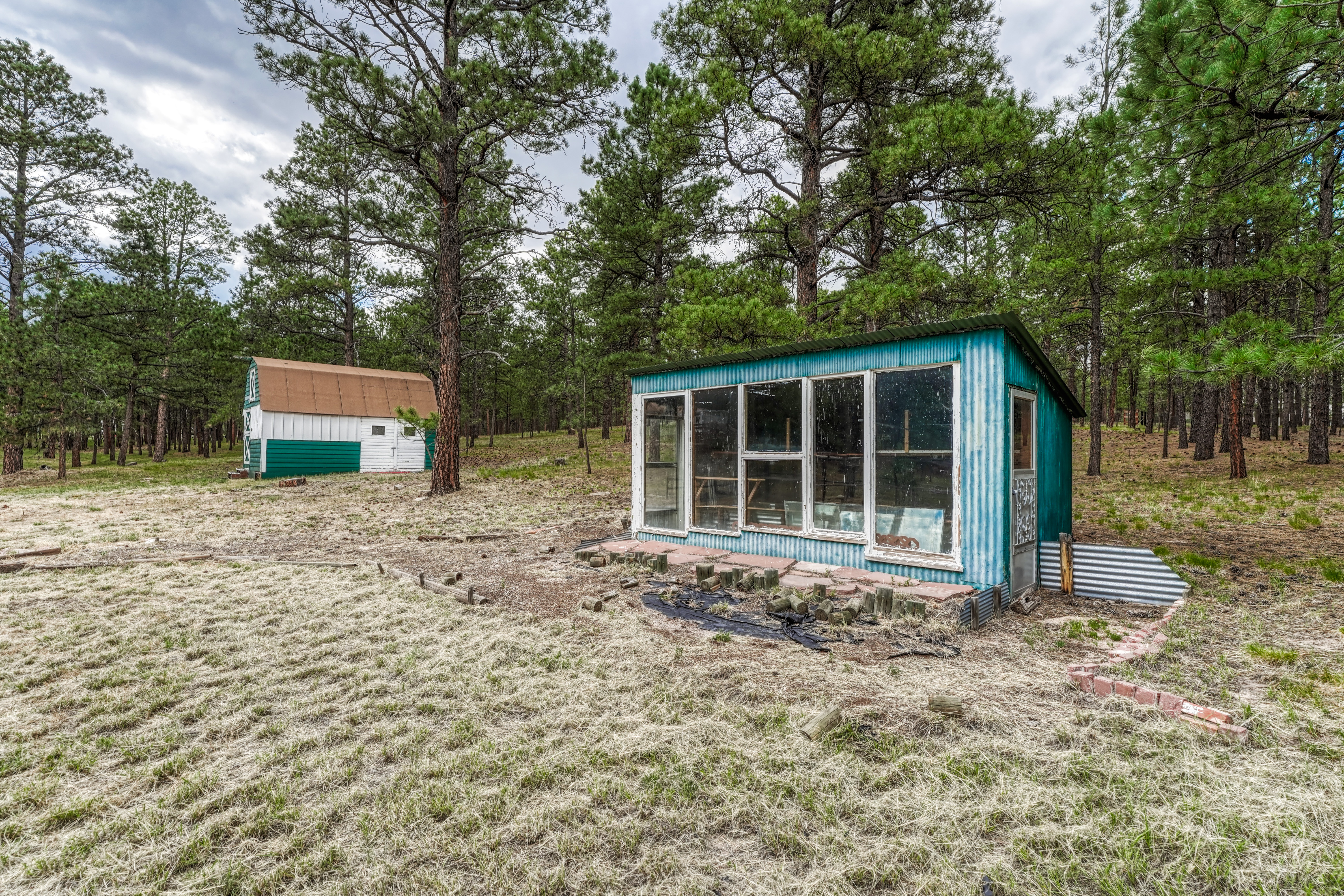  Meticulously maintained ranch-style home in sought-after Black Forest - 物件實景