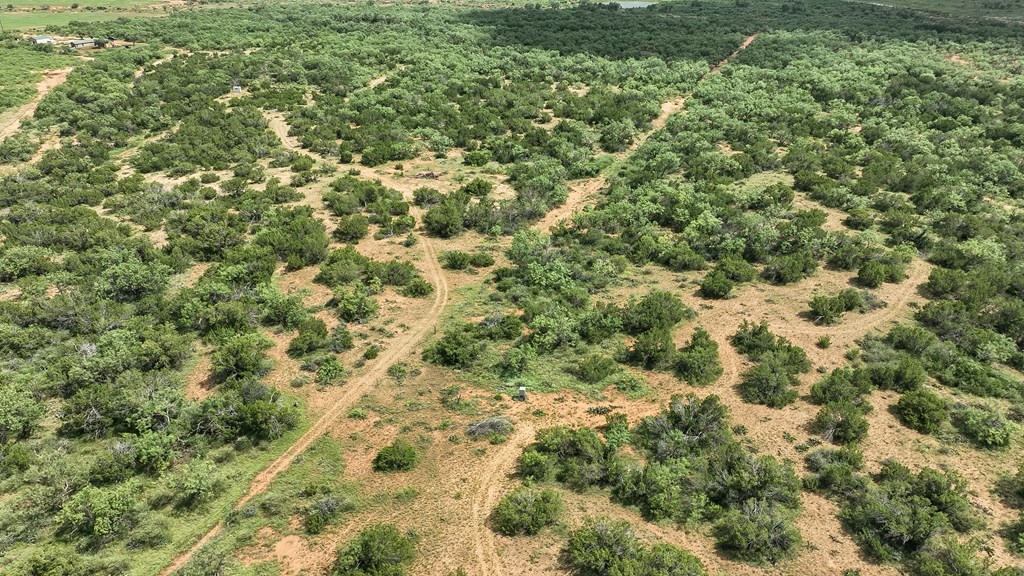 Tennyson, Texas, 76953, United States, ,Land,For Sale,1982007