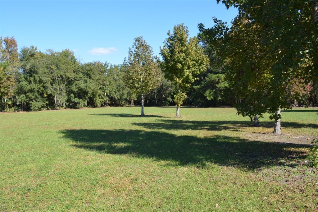 Sanford, Florida, 32773, United States, ,Land,For Sale,1987674