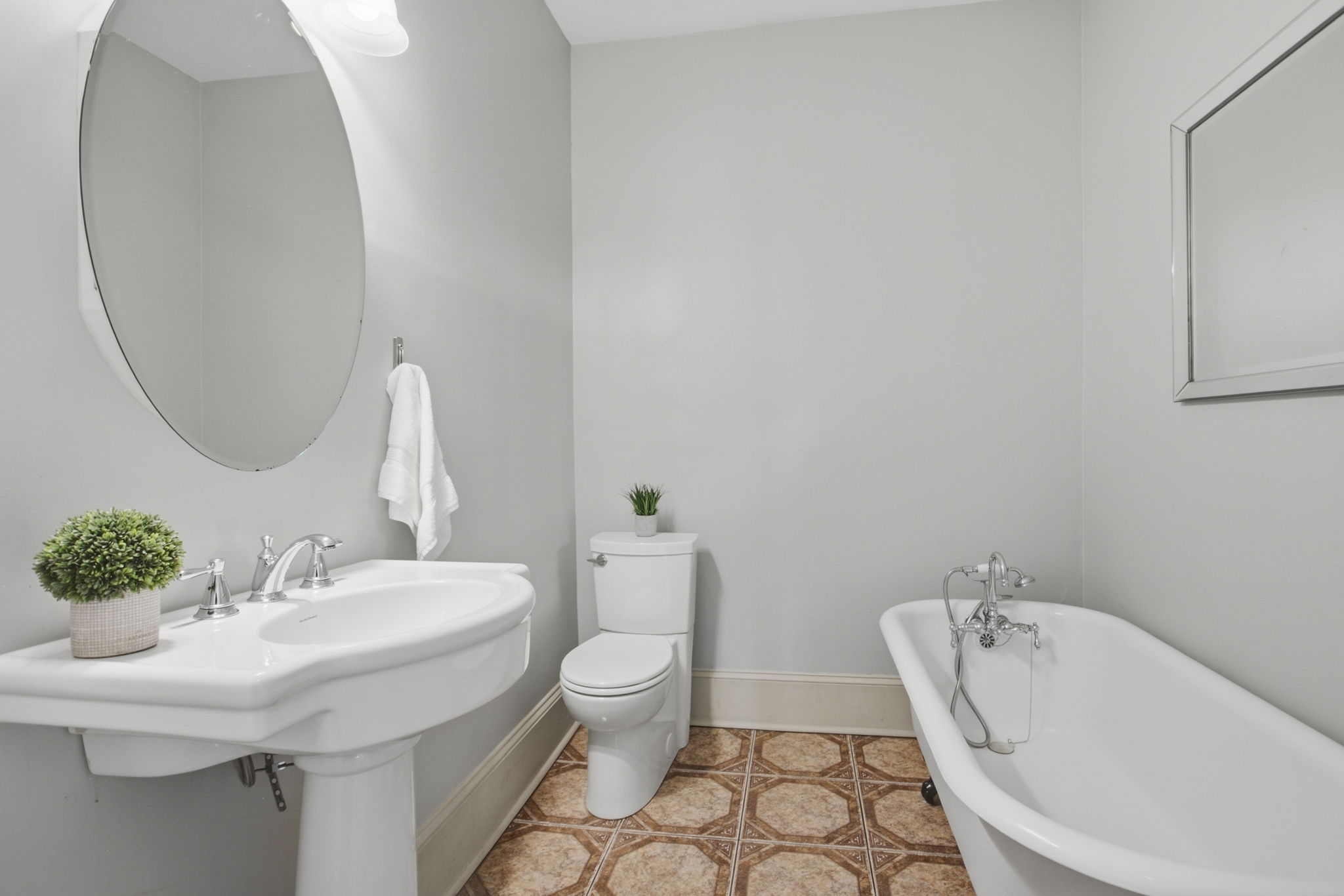  19 David Street, Greenville, SC 29609 - 物件實景