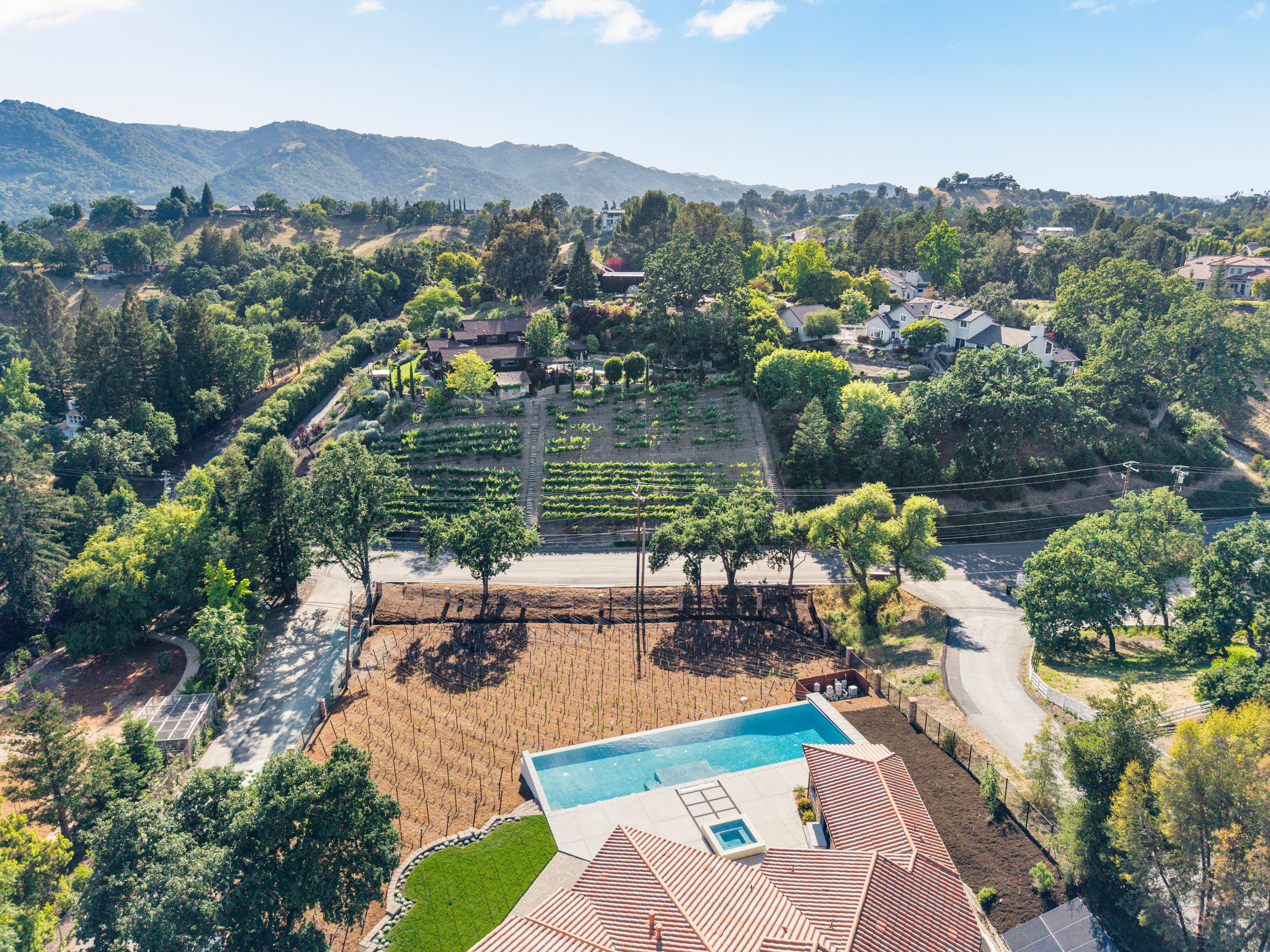  Grand Luxury Estate on 1.5± Acres with Vineyard and Infinity Pool - 物件實景