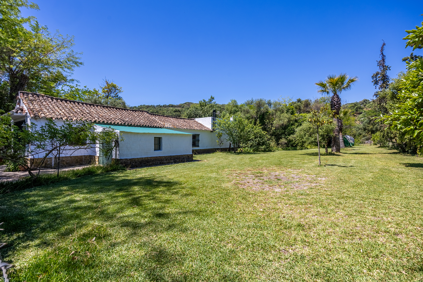  Exclusive Estate in Los Alcornocales Natural Park - 物件實景