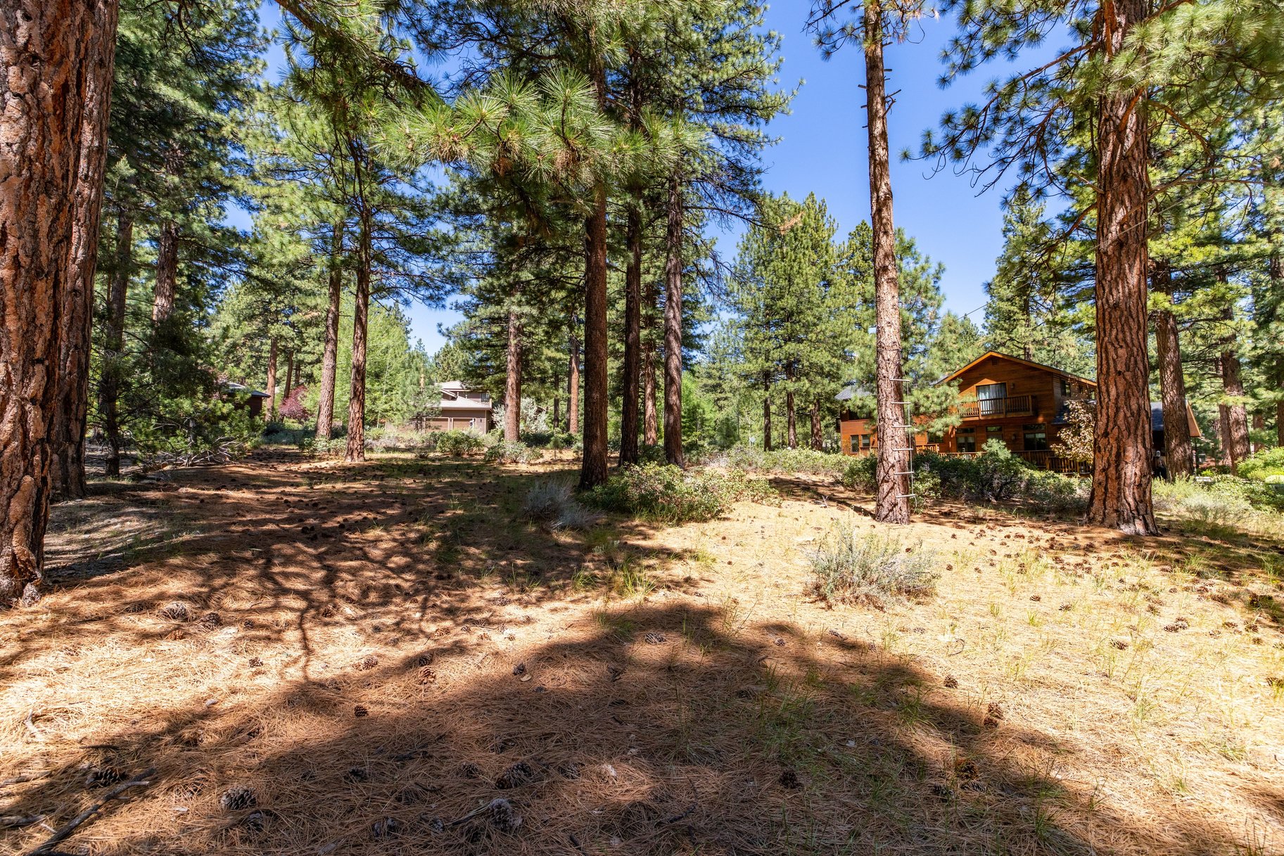  Private Galena Forest Parcel Near Mt. Rose with Pines & Tahoe Access - 物件實景