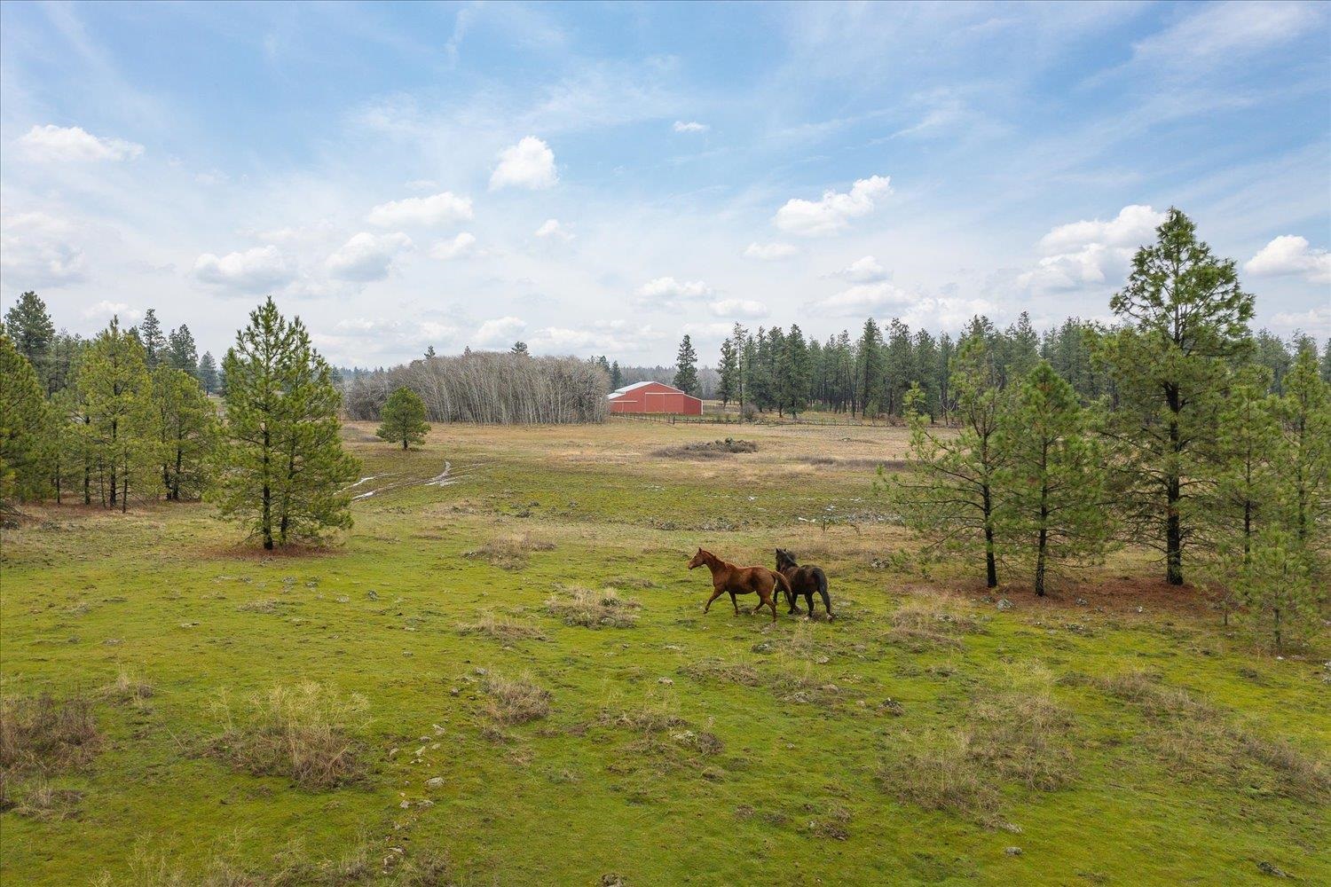 102 E Cameron Rd, Spangle, Washington, 99031, United States, ,Residential,For Sale,102 E Cameron Rd,1404590