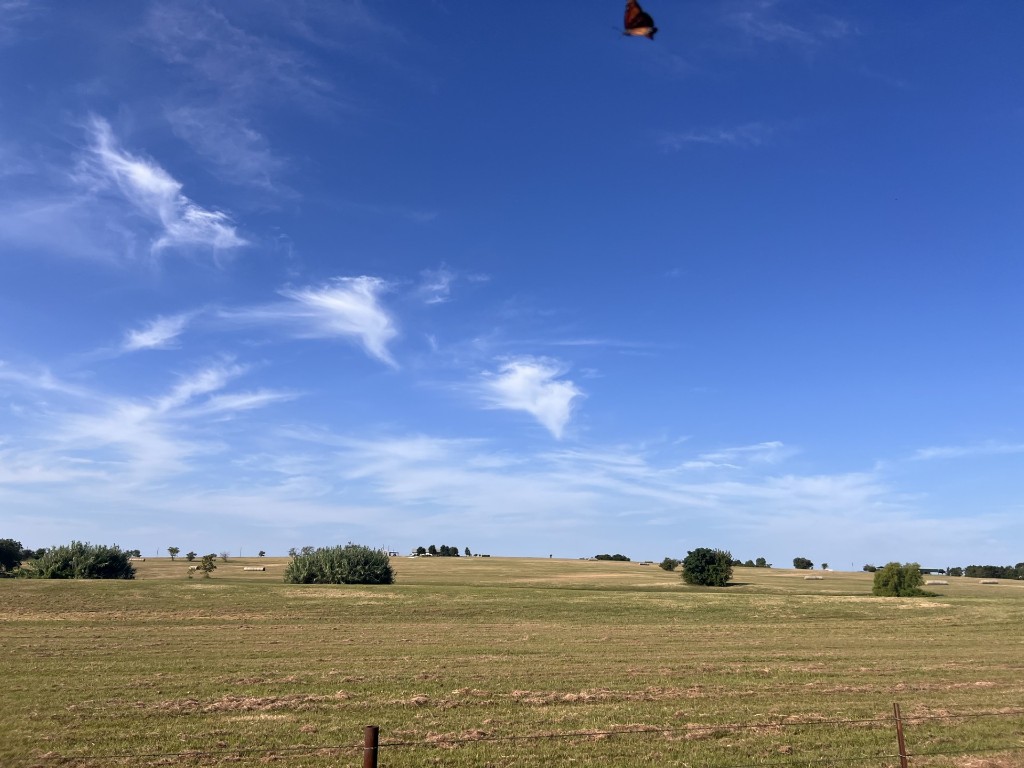 Granger, Texas, 76530, United States, ,Land,For Sale,1903654