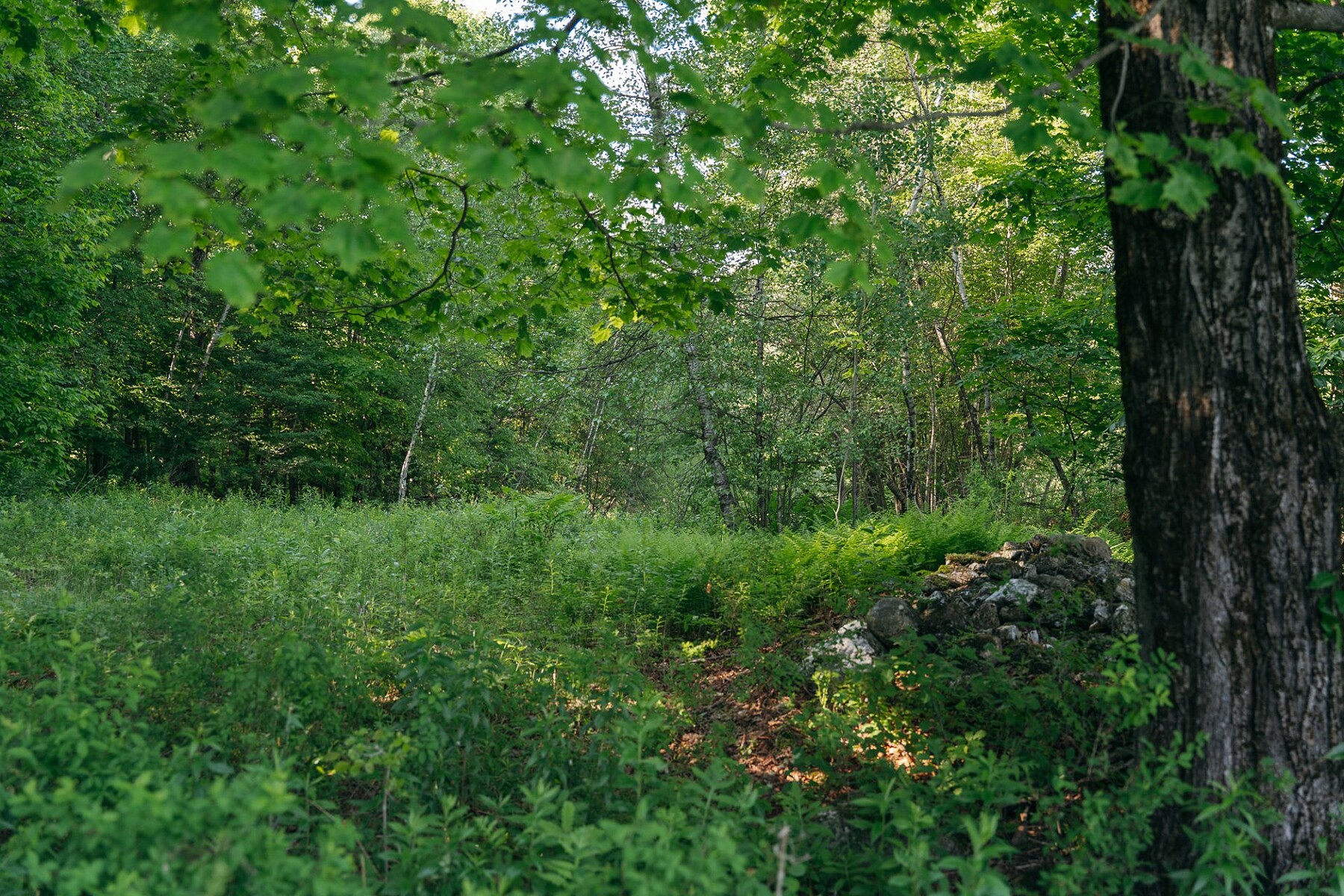  Sutton, Eastern Townships - 物件實景