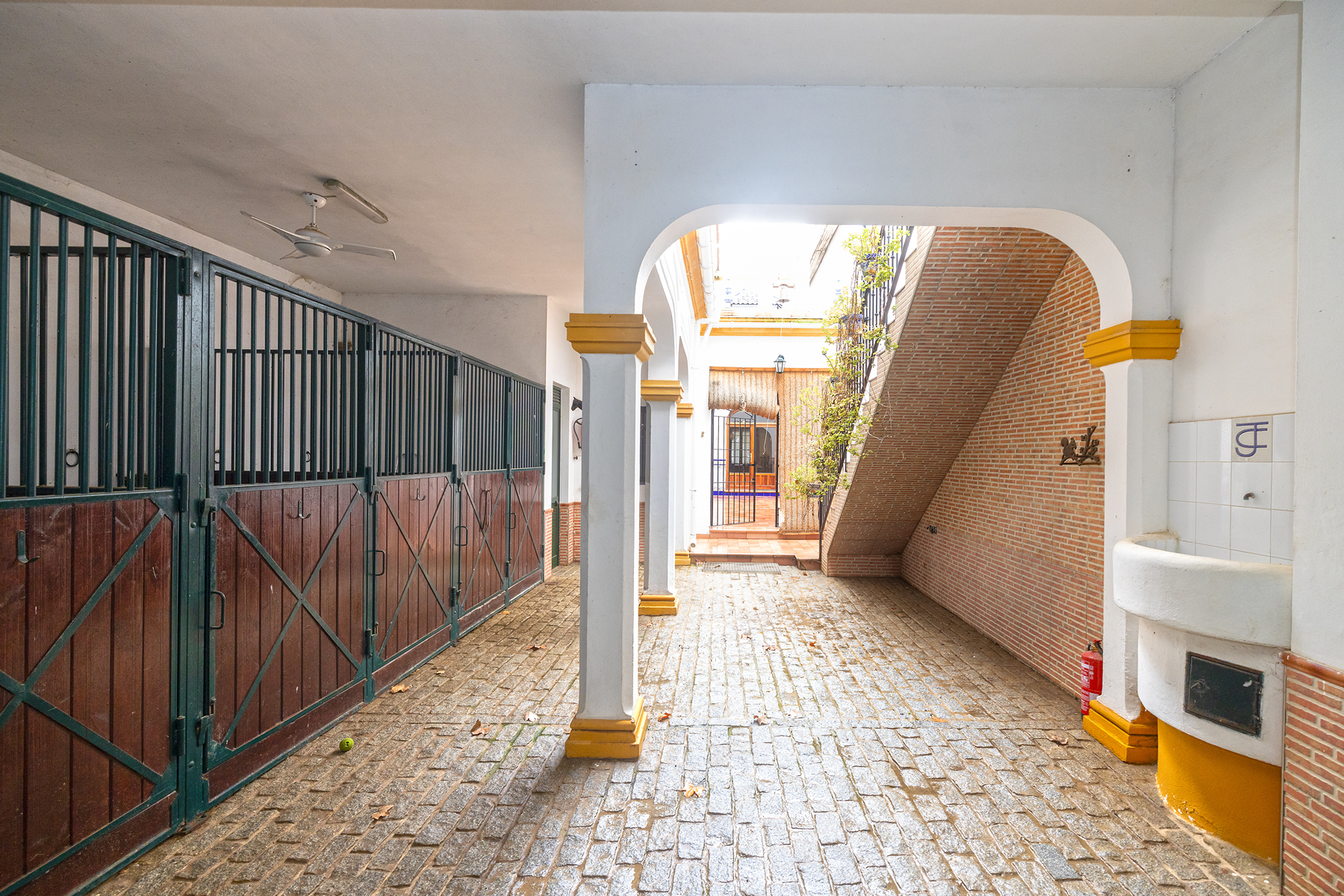  Detached home with character and equestrian area in El Rocío - 物件實景