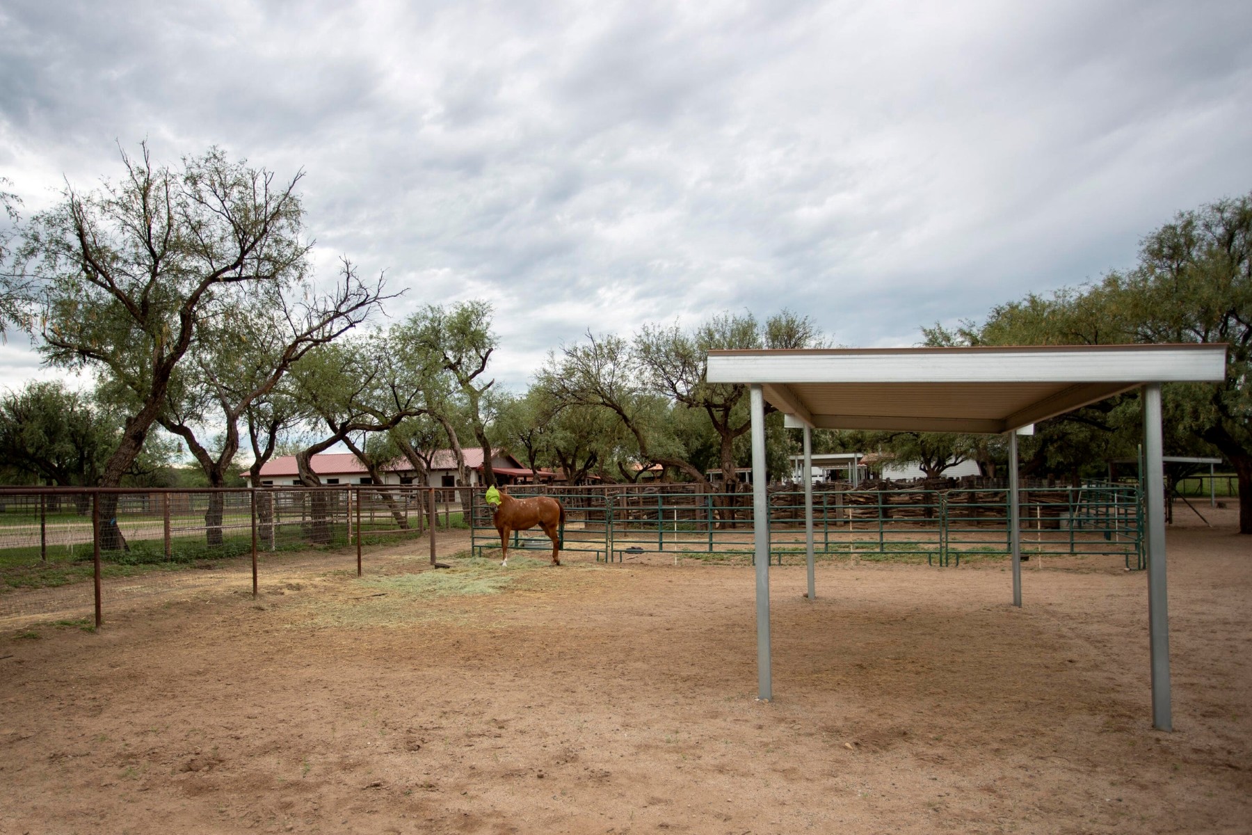  3155 W Elephant Head Road¦Amado, AZ - 物件實景