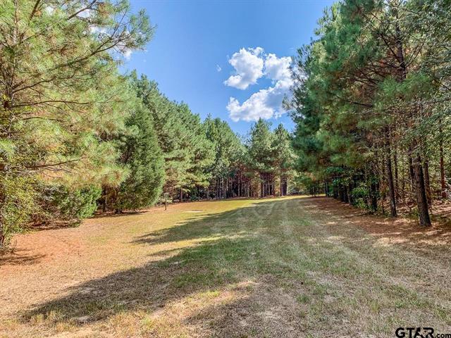 Mount Vernon, Texas, 75457, United States, ,Residential,For Sale,1998270