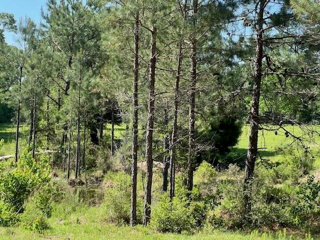 Andalusia, Alabama, 36421, United States, 6 Bedrooms Bedrooms, ,4 BathroomsBathrooms,Residential,For Sale,1793704