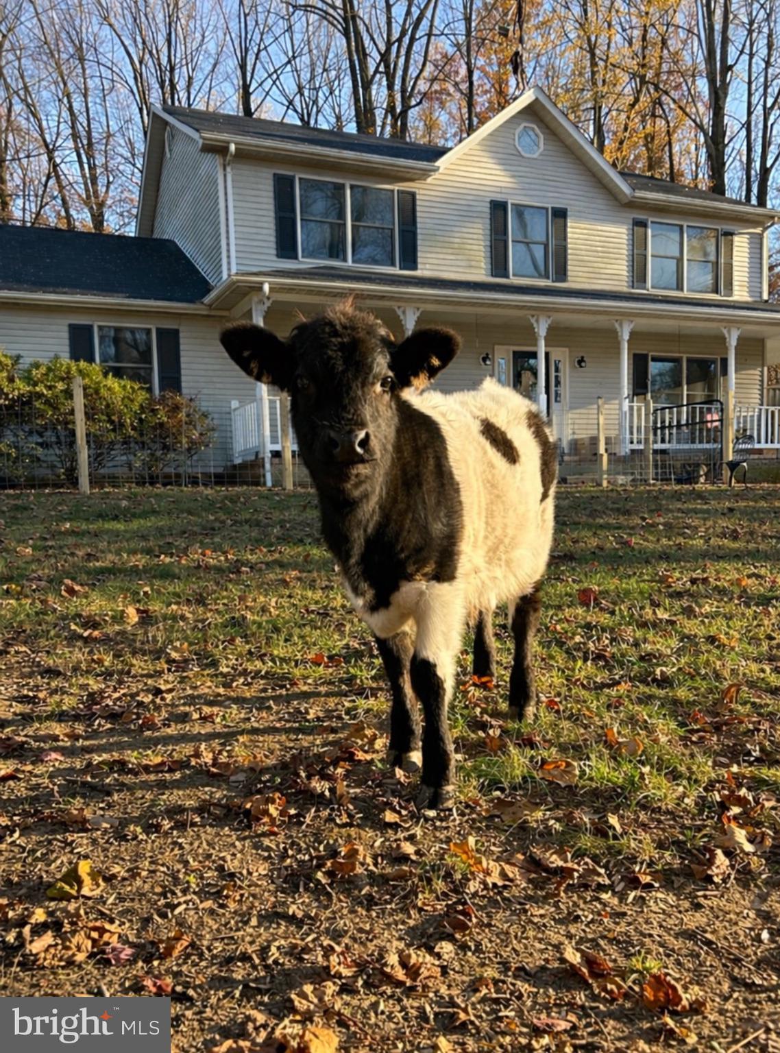 Upper Marlboro, Maryland, 20772, United States, 4 Bedrooms Bedrooms, ,3 BathroomsBathrooms,Residential,For Sale,2005447