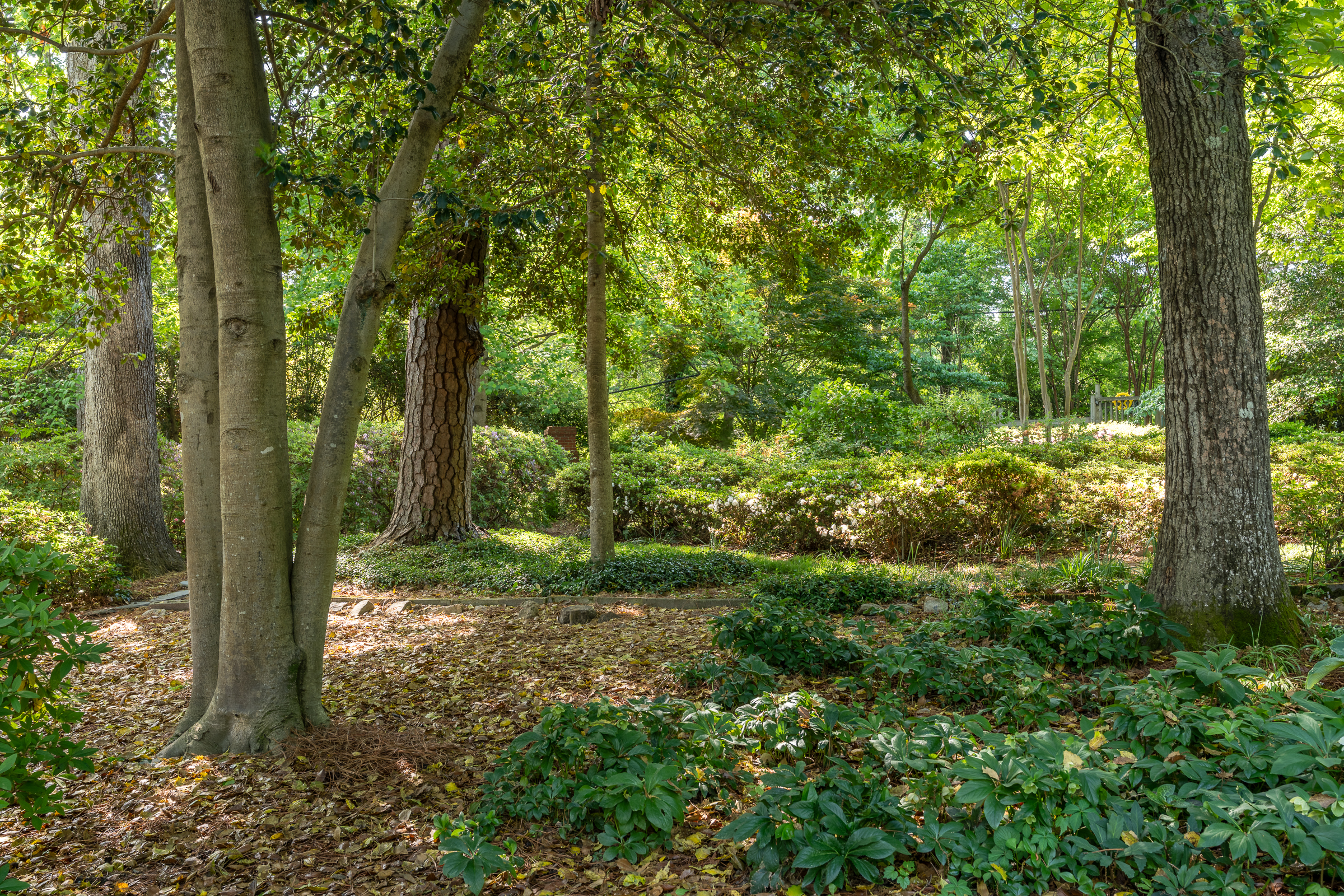  7113 Pinetree Road, Henrico, VA 23229 - 物件實景