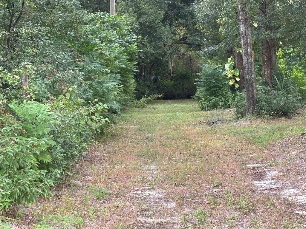 Apopka, Florida, 32712, United States, ,Land,For Sale,1998337